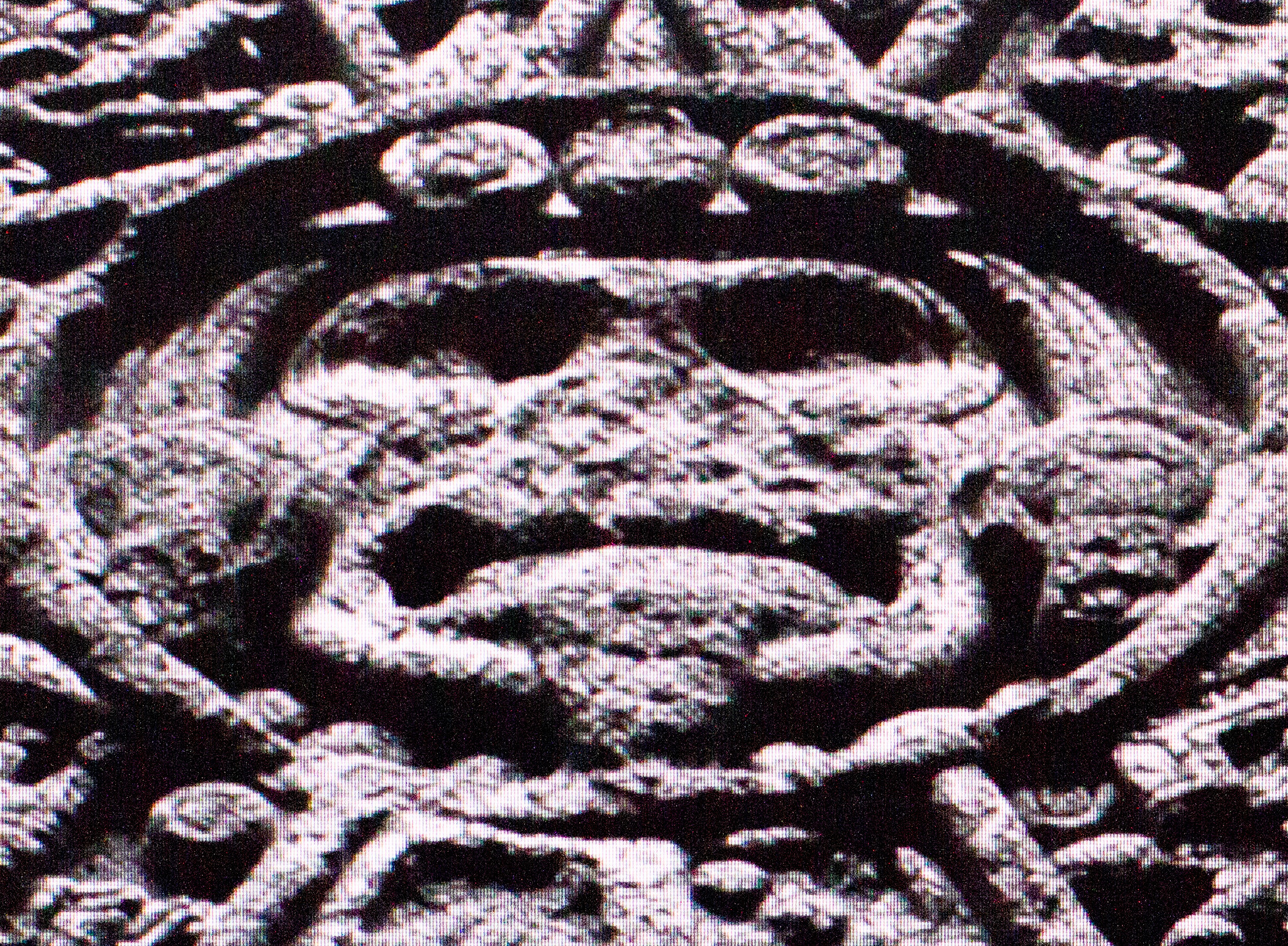 Phobia. Alexander Zorin