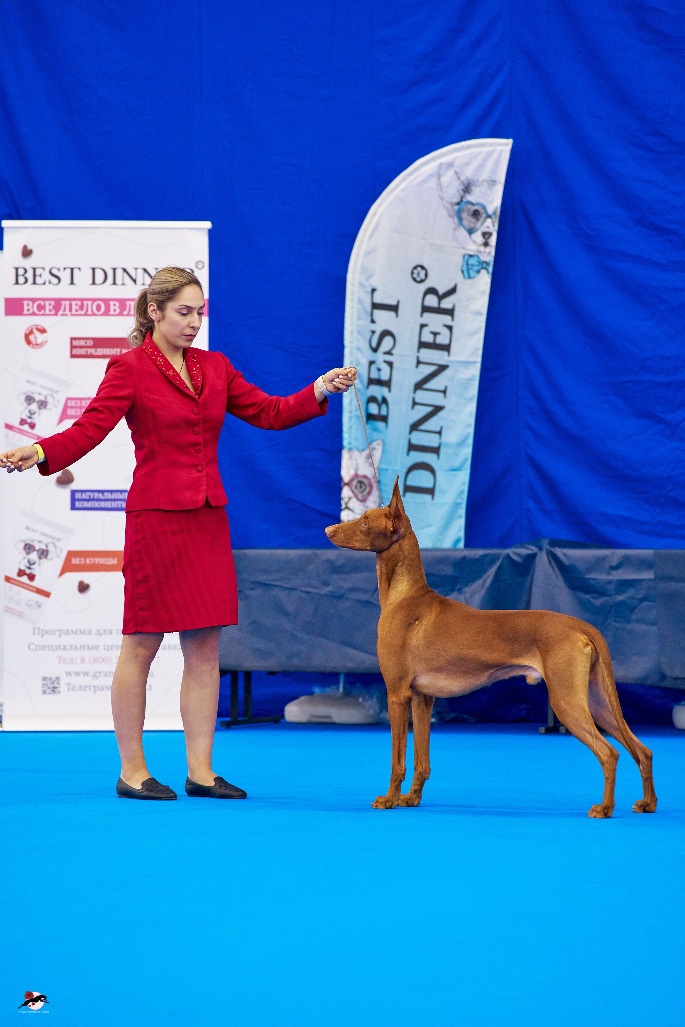 ГРАН ПРИ «ВЕСЕННИЙ ПЕТЕРБУРГ» & «СУПЕР КУБОК «ЭЛИТЫ»-2025»