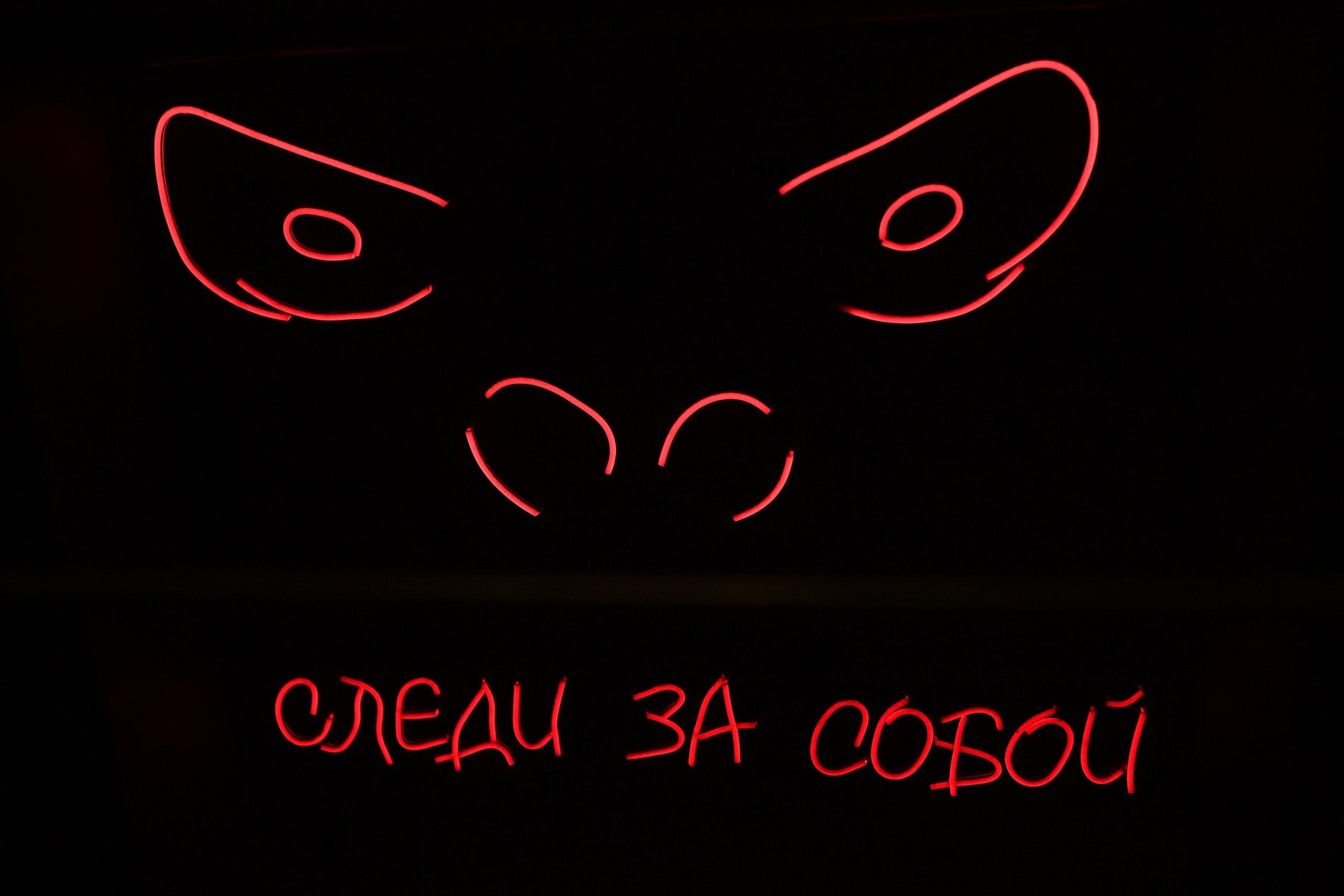 День Рождения фитнесс-клуба 50GYM в Коммунарке. Свадебный и семейный фотограф в Москве Ирина Гончарова