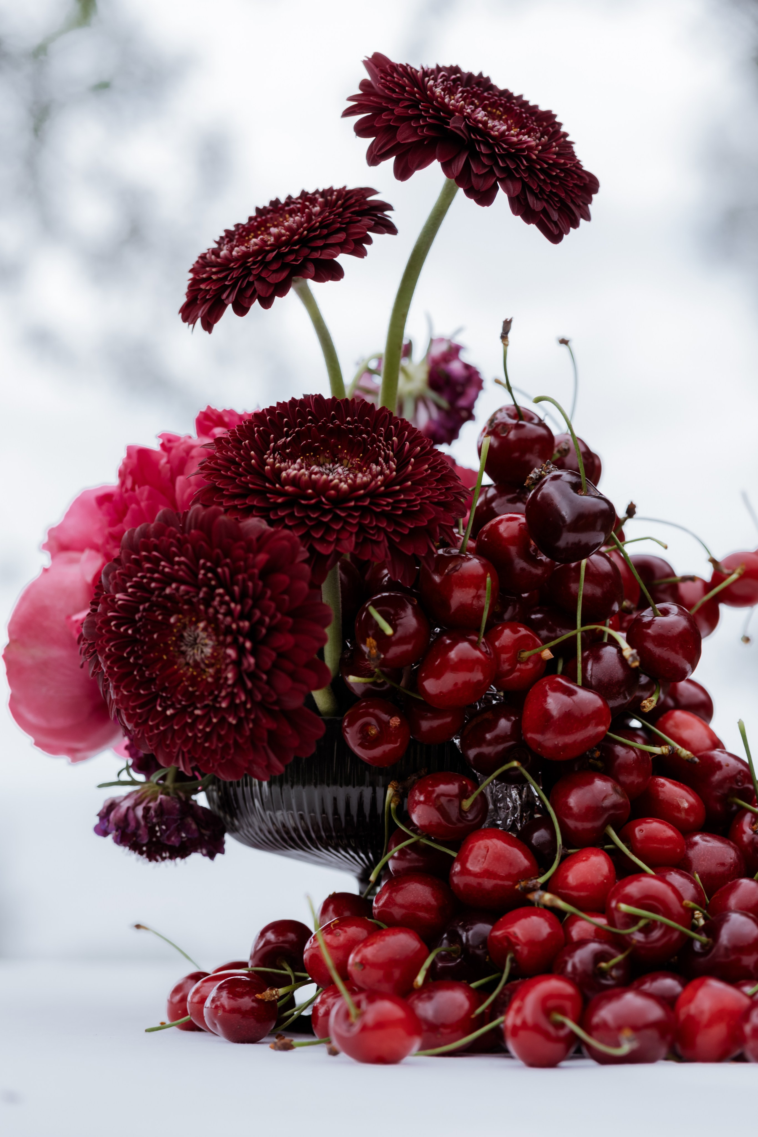 Elopement Wedding Photographer