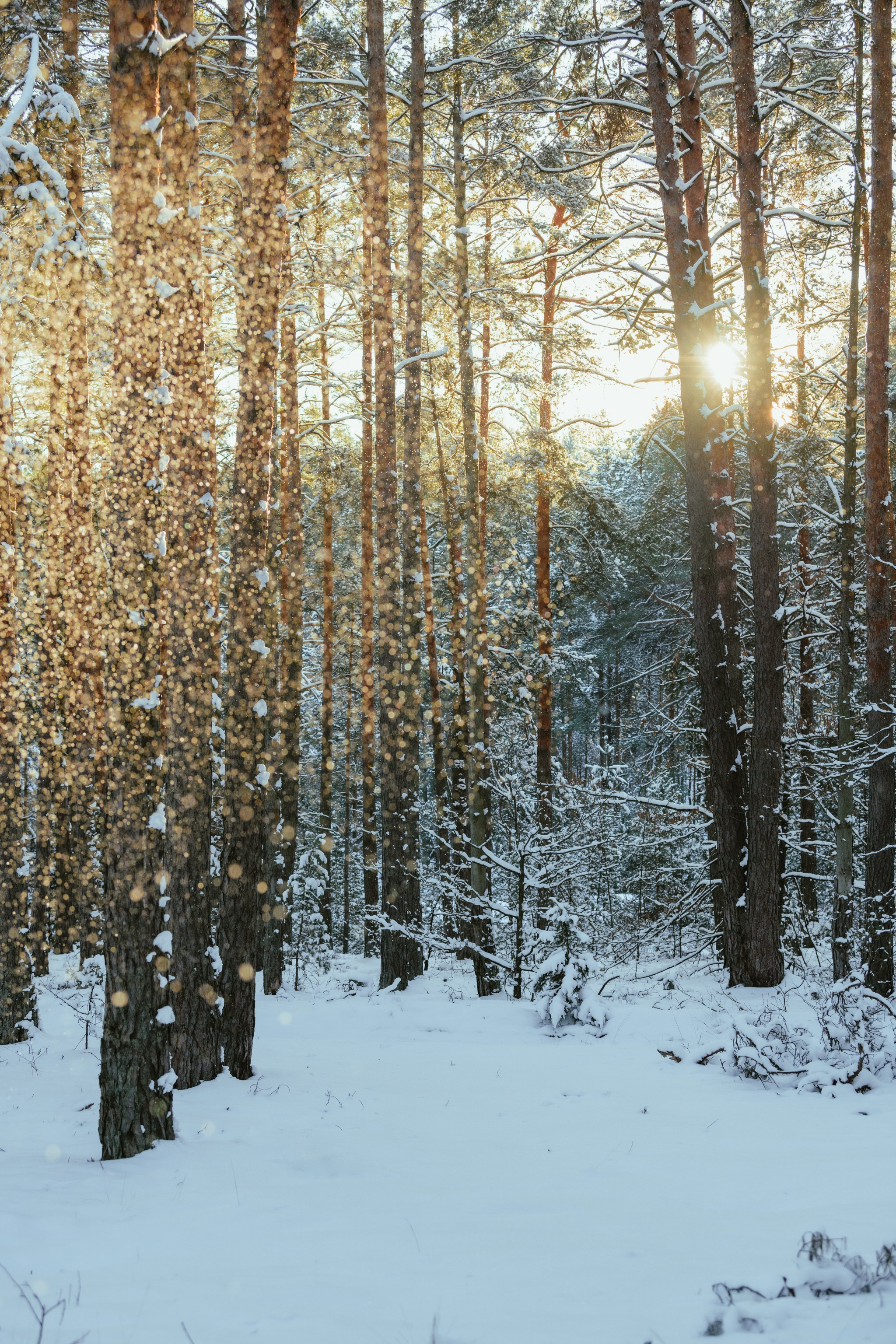 Репортажный фотограф Владимир Беляй
