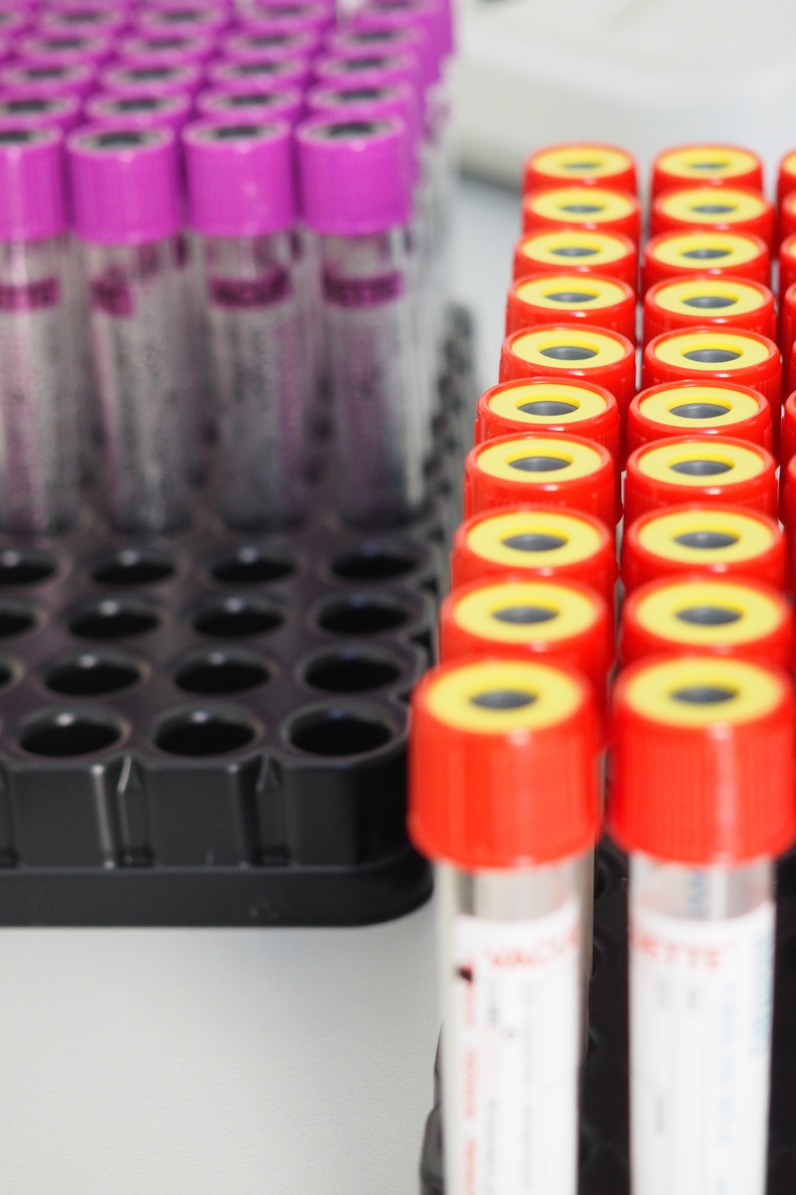 Какой контент нужен медцентру в Санкт-Петербурге