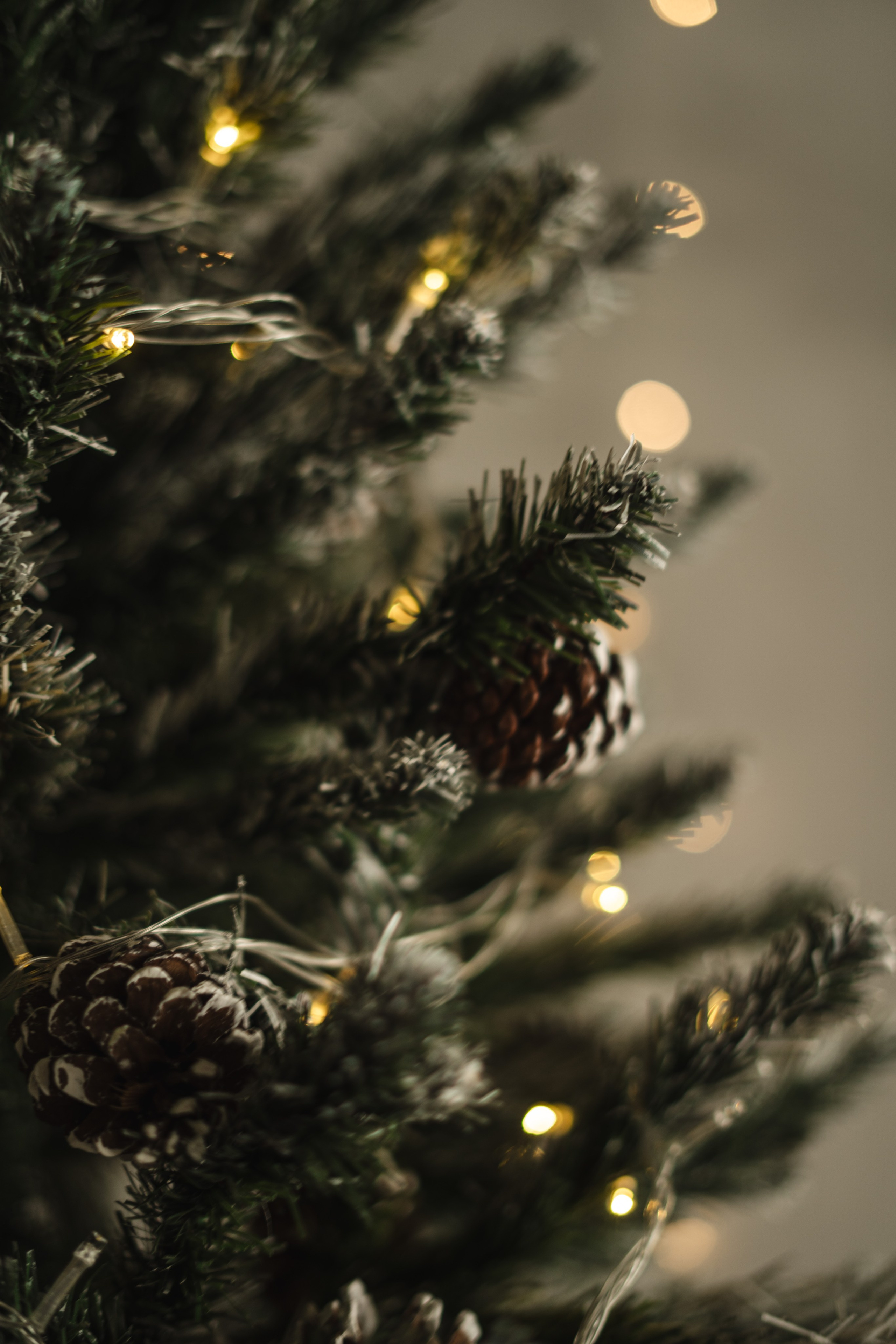 Фотостудия Импульс Новый год 2026 зал Life Лайф