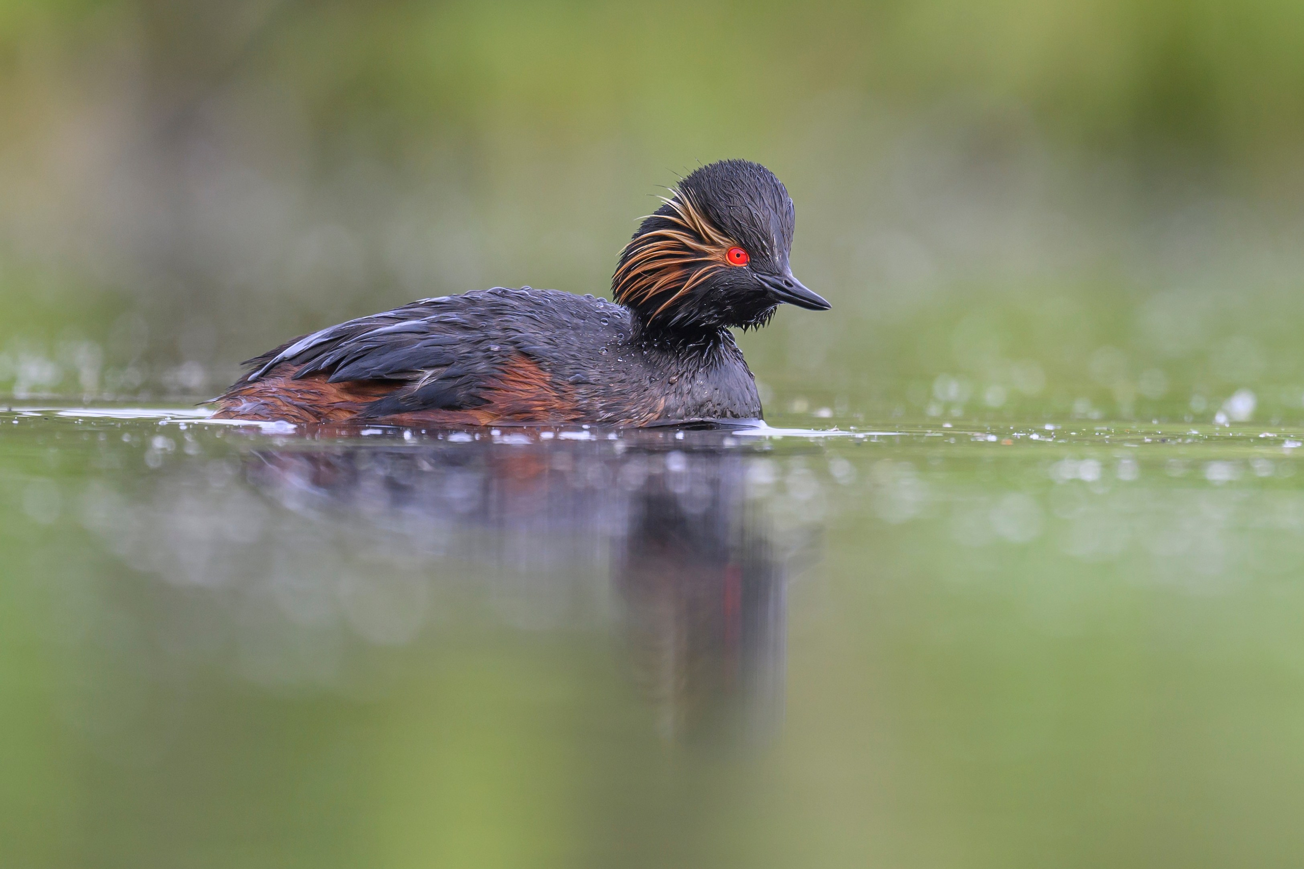 Мягкий свет. Фотограф Сергей Пупонин