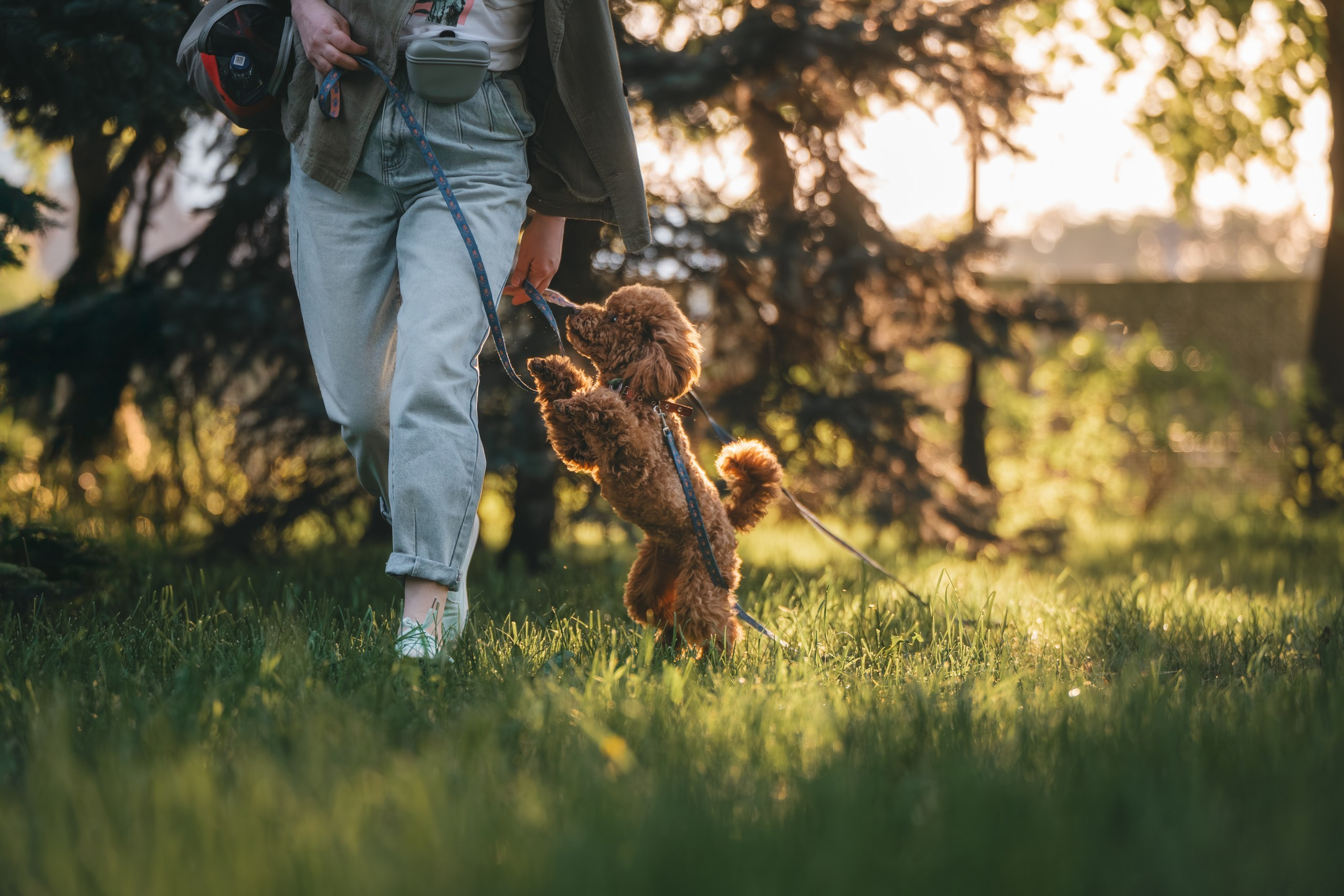 Фотограф Анималист в Москве Анастасия Жучкова