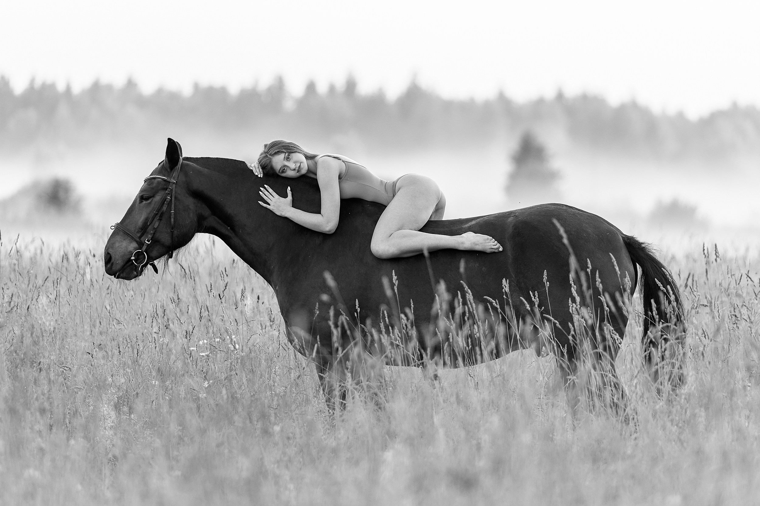 Балет и лошади, фотосессия «ГРАЦИЯ и СИЛА-1» Фотограф Михаил Семенов г. Ярославль