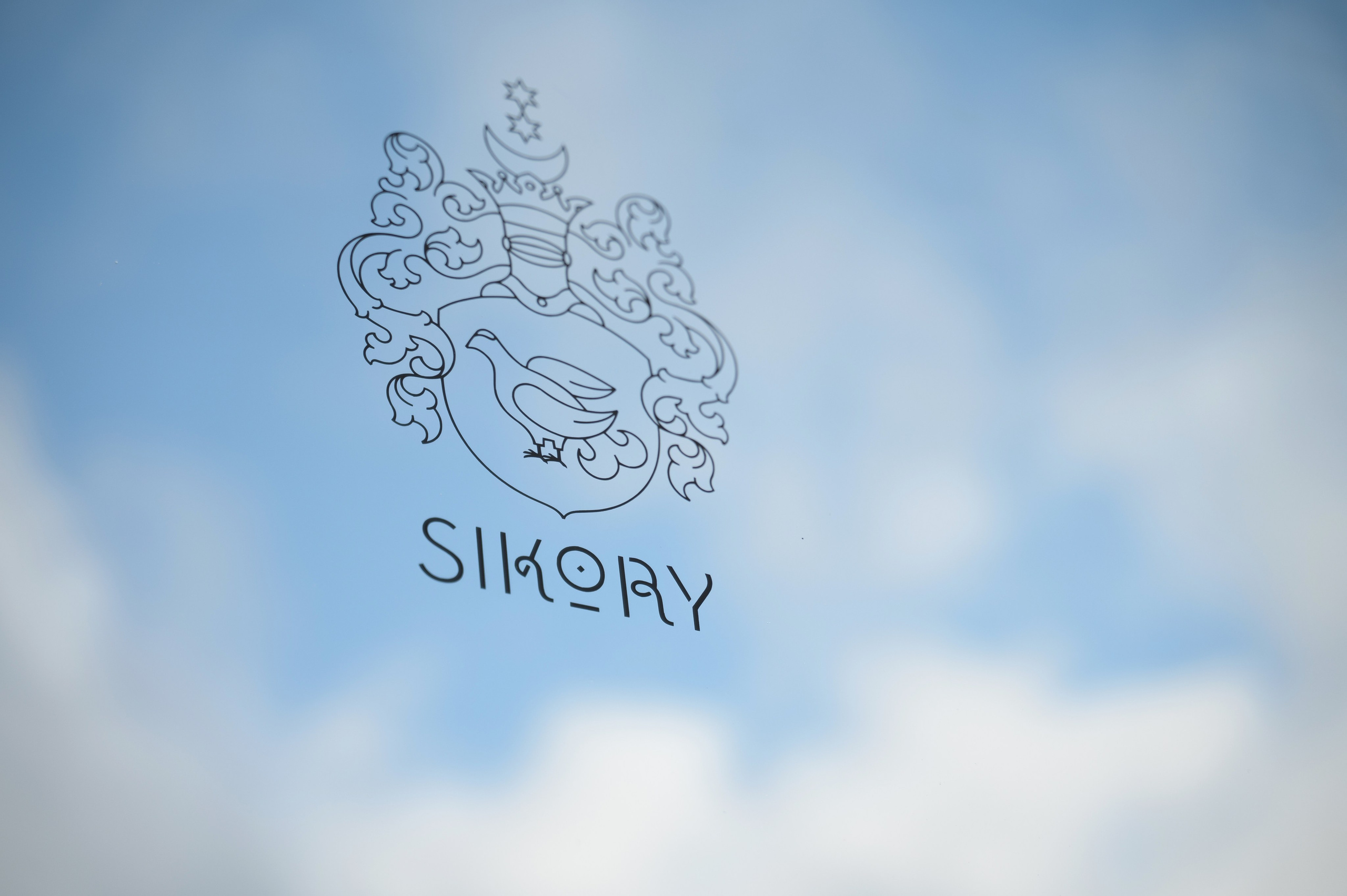 Репортажный фотограф Сочи