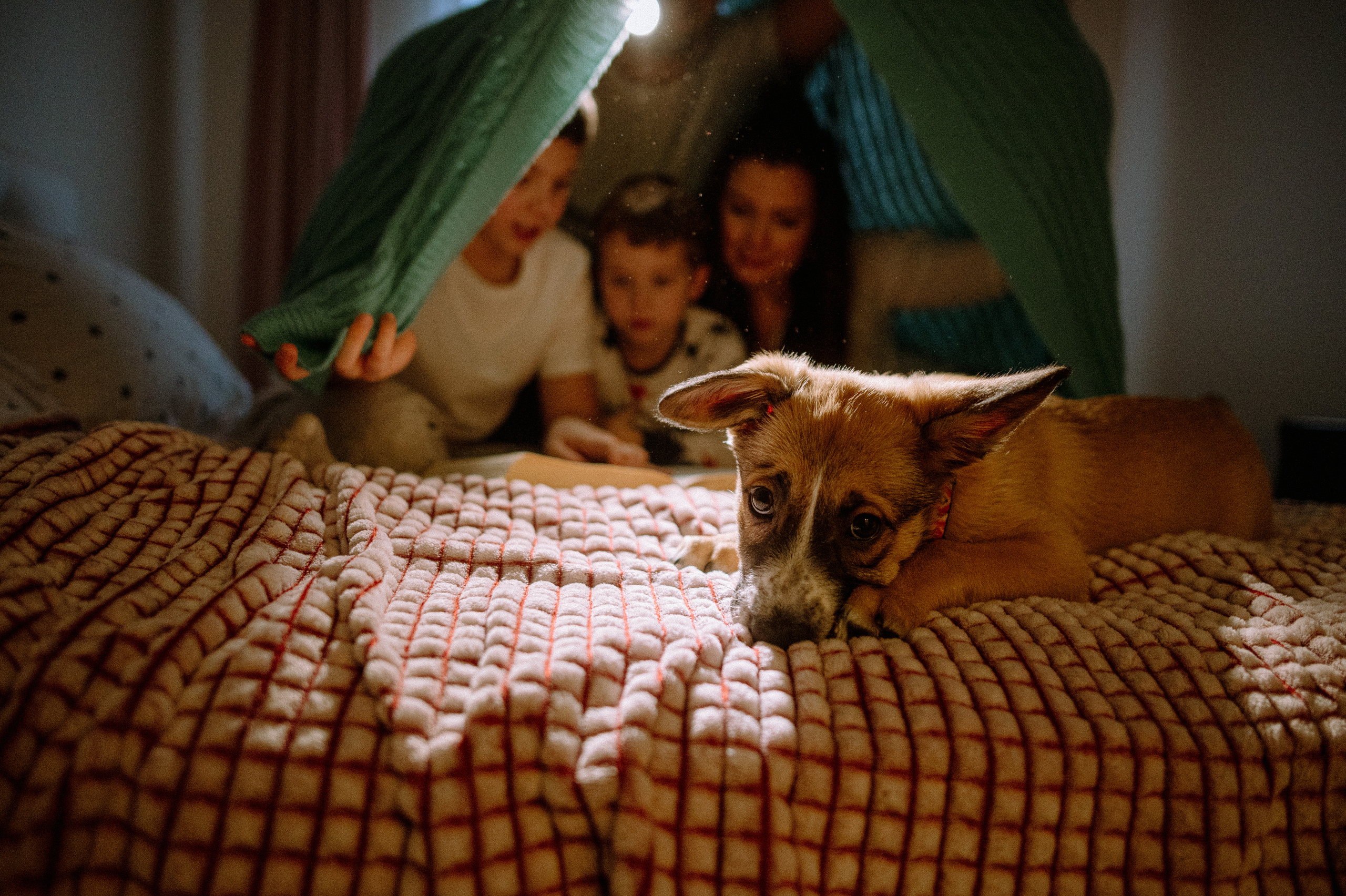 Воркшоп «Новогодняя съемка дома»