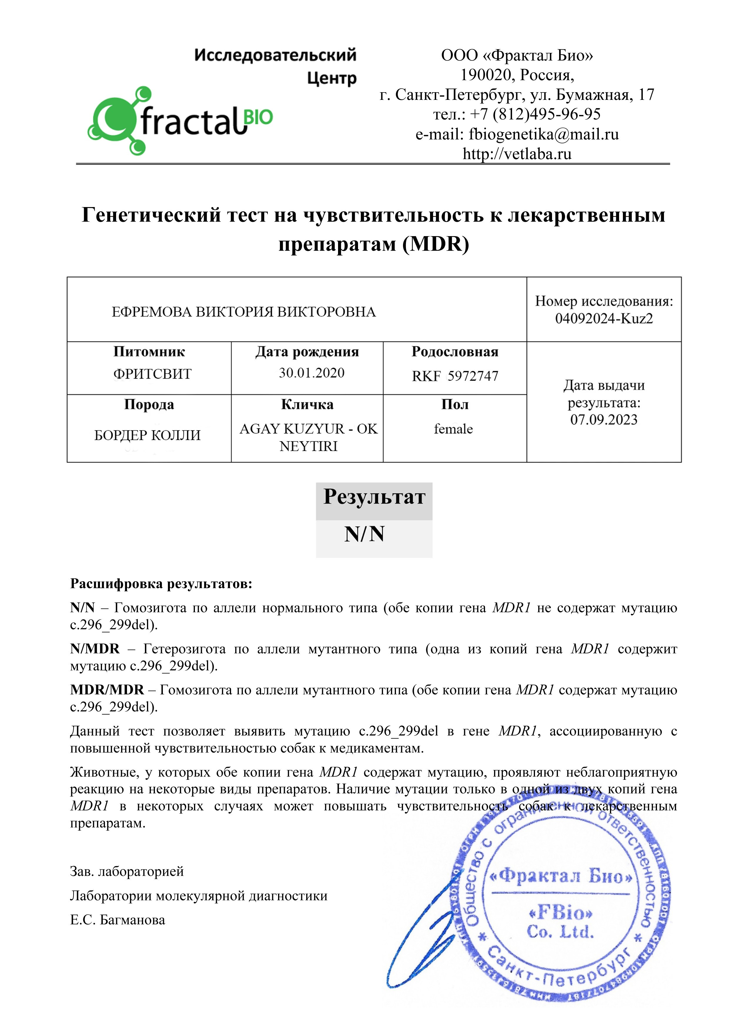 Наши Бордер колли