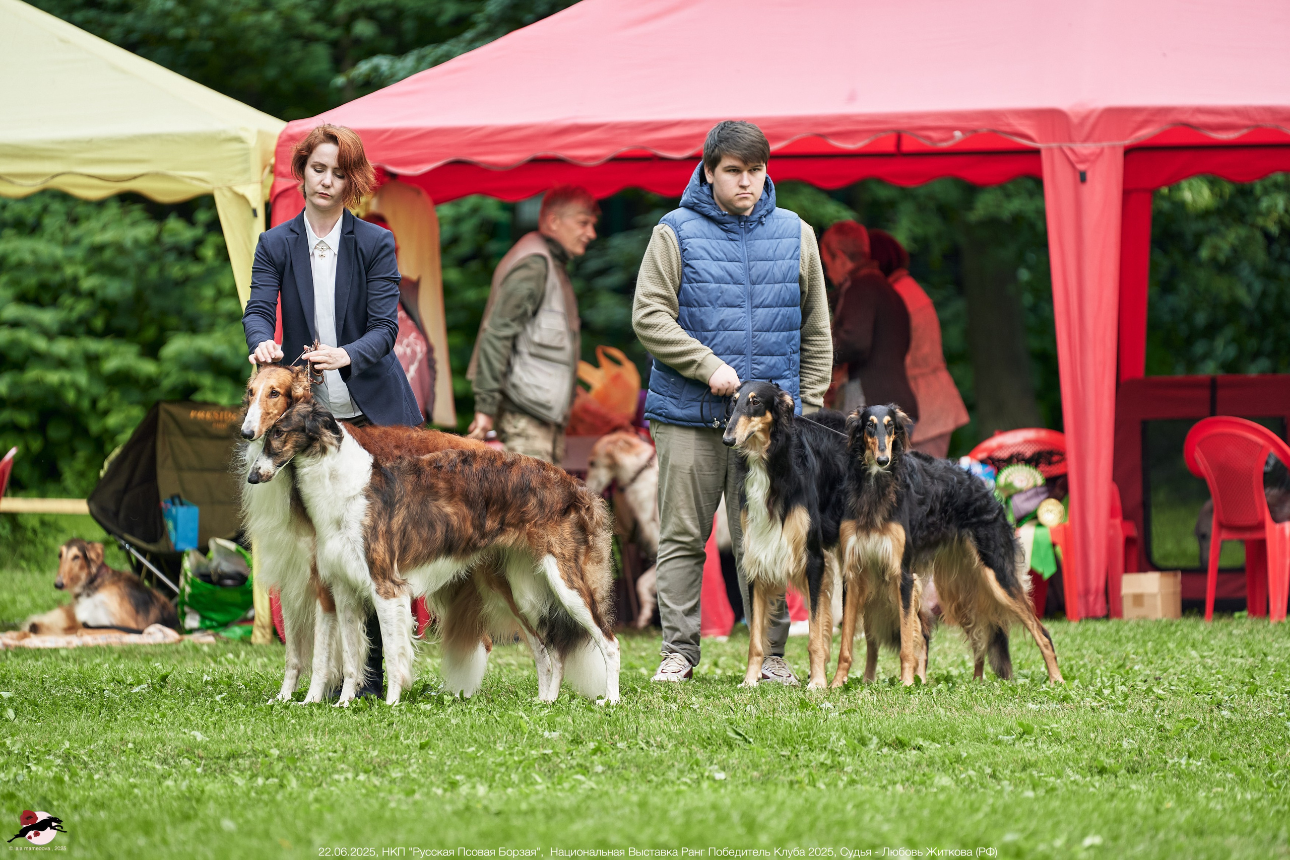 22.06.2025 | Национальная Выставка НКП "Русская Псовая Борзая"