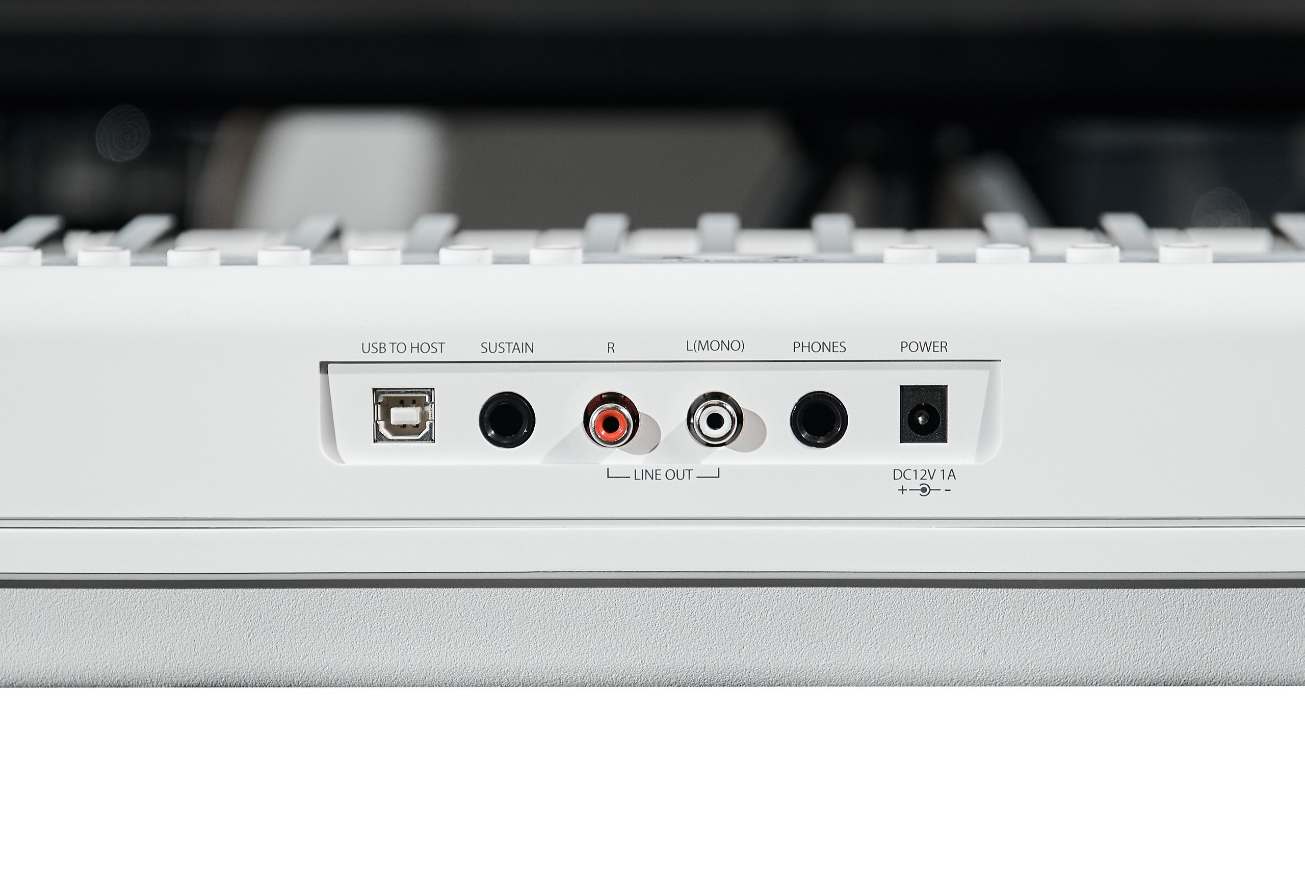 Фотограф — Данилов Михаил. Бизнес и контент фотограф — Михаил Данилов | Москва, Видное, Домодедово