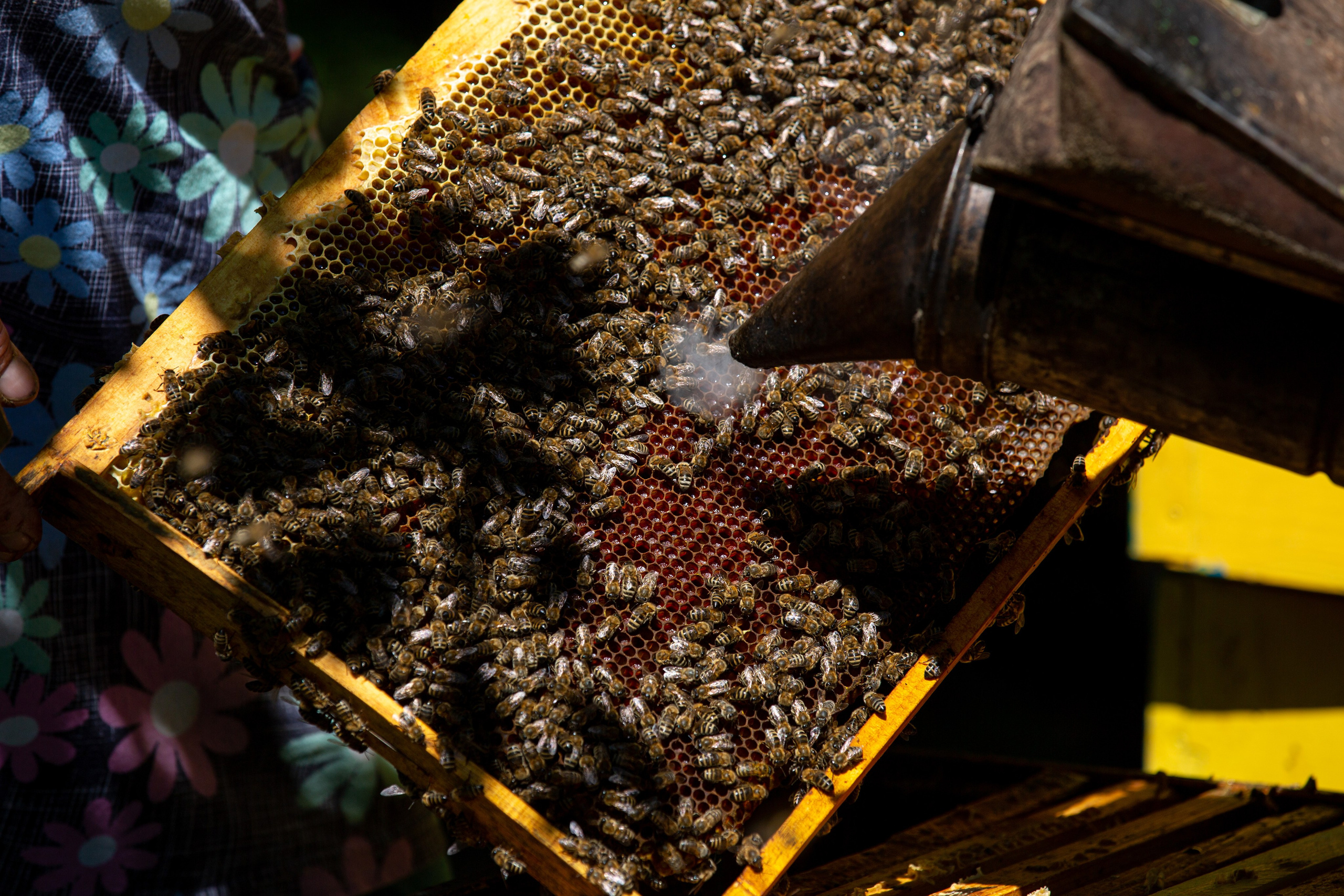 Фотограф Наталья Угрюмова, г. Москва