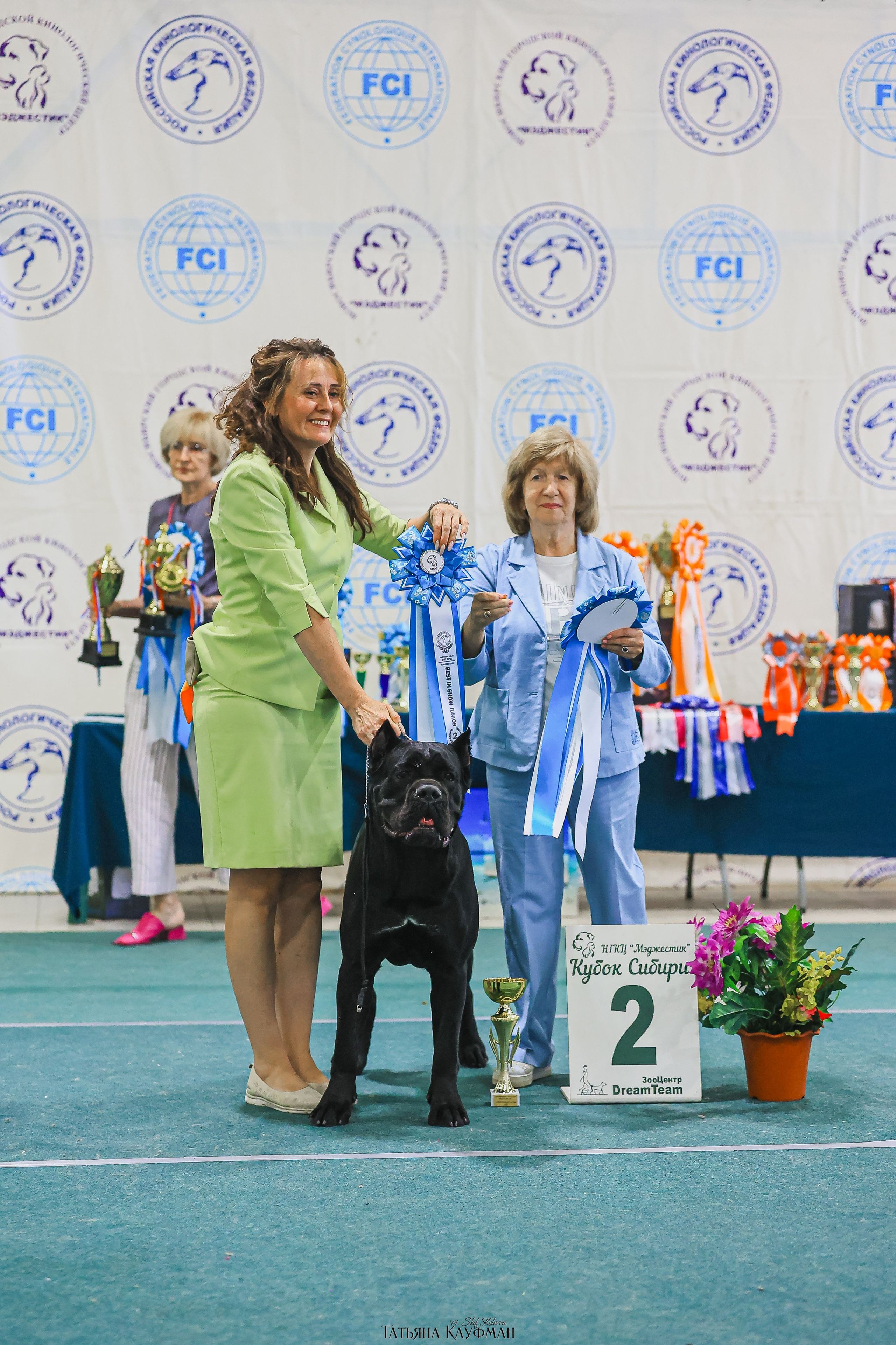 13.07.25 2х выставки собак. Новосибирск. «Кубок Сибири»