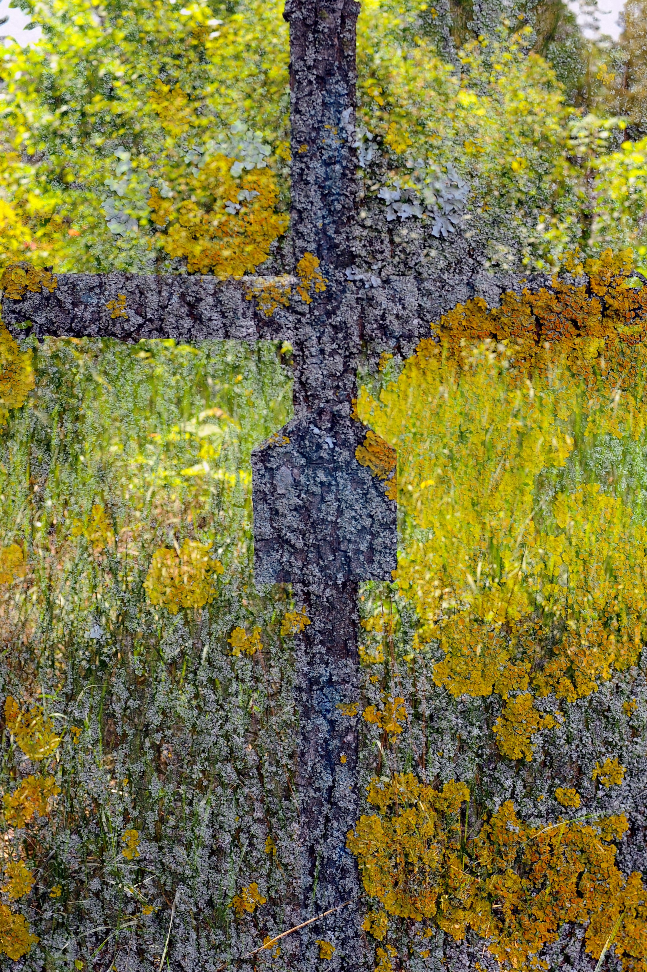 MEMENTO VITAE. Anastasia Segrenyova photography