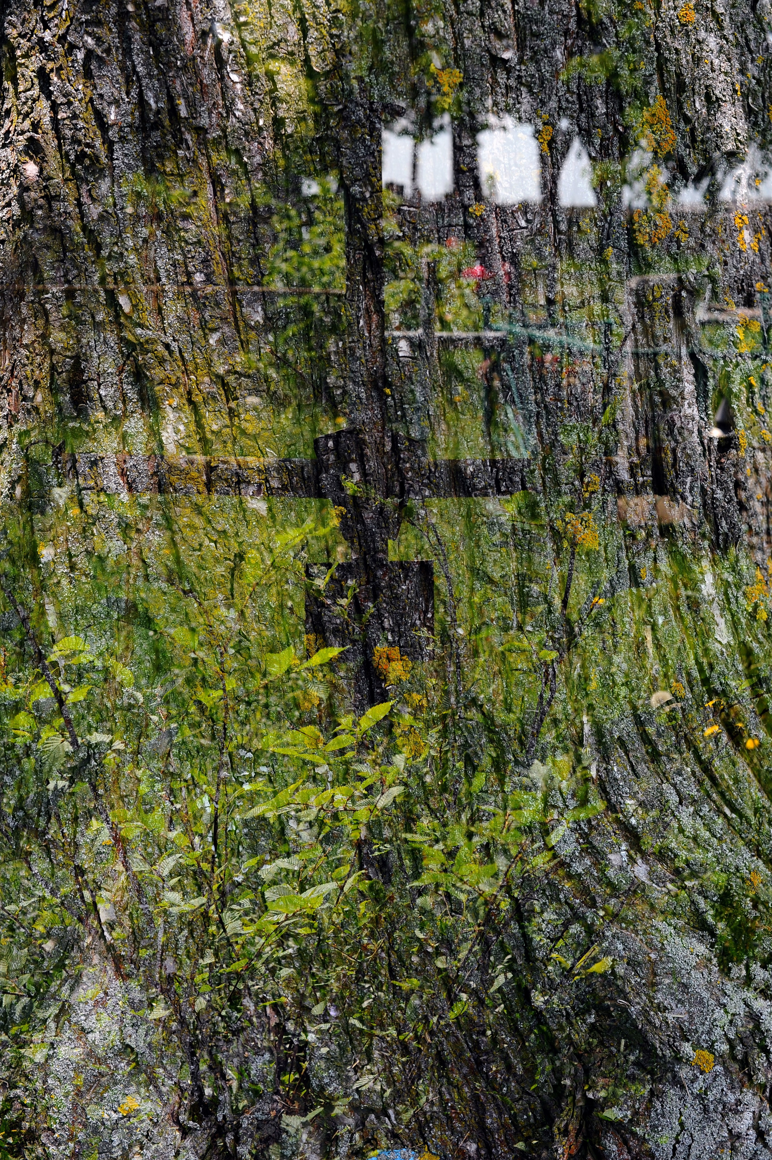 MEMENTO VITAE. Anastasia Segrenyova photography