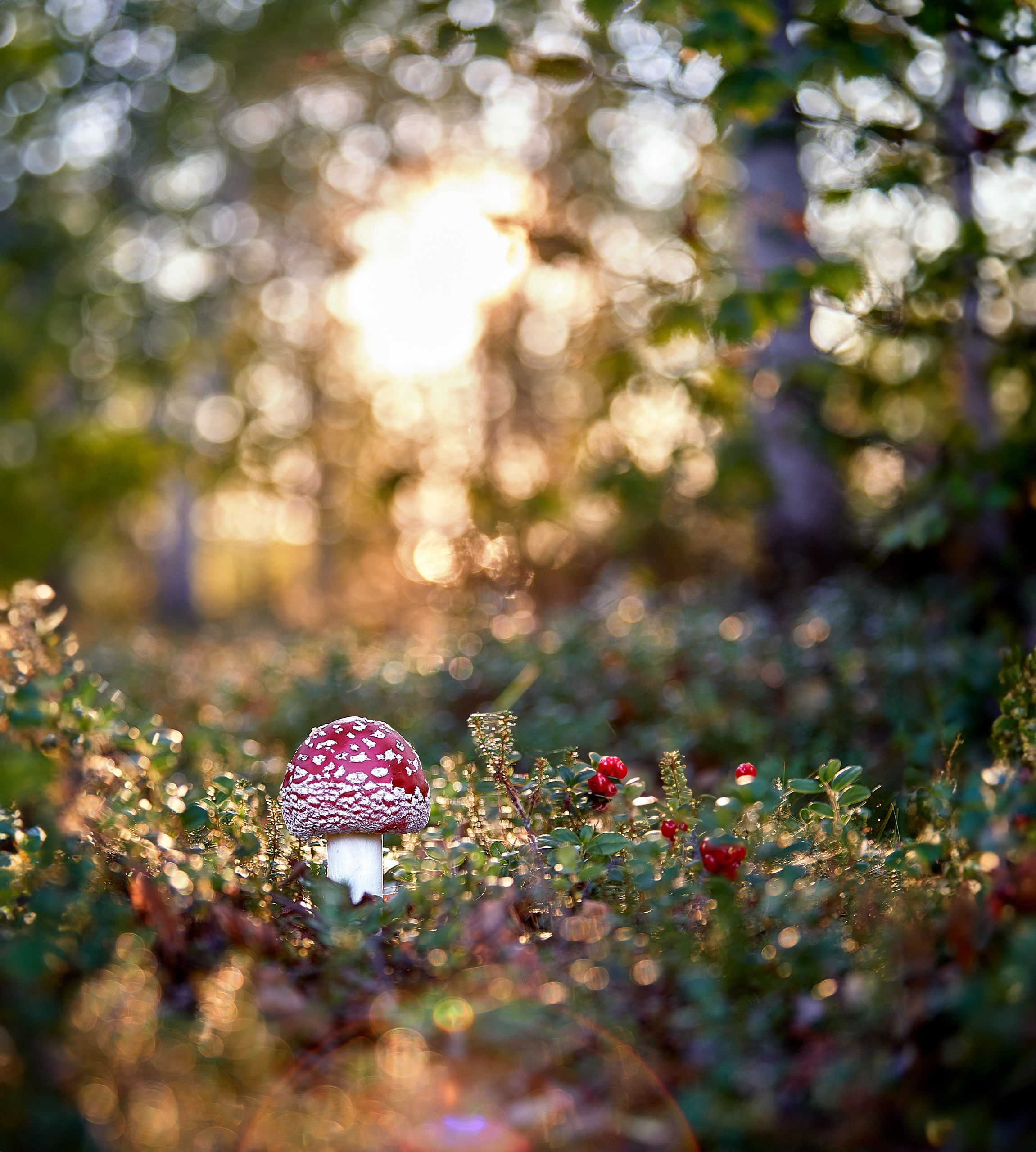 Фотографии пейзажей и архитектуры