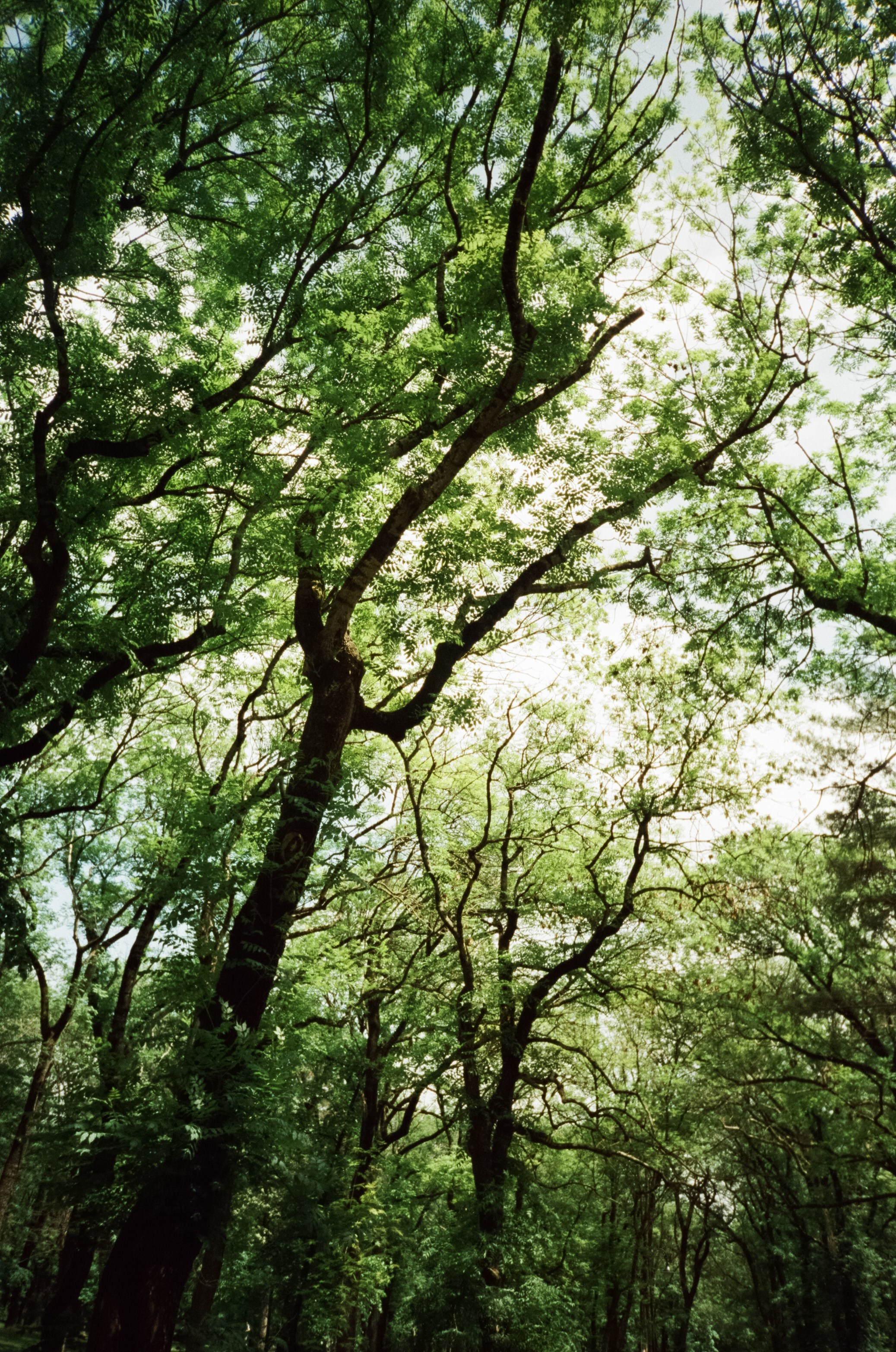 Солнечные Ессентуки. Прогулка в Курортном парке. Фотограф-документалист Мария Осокина