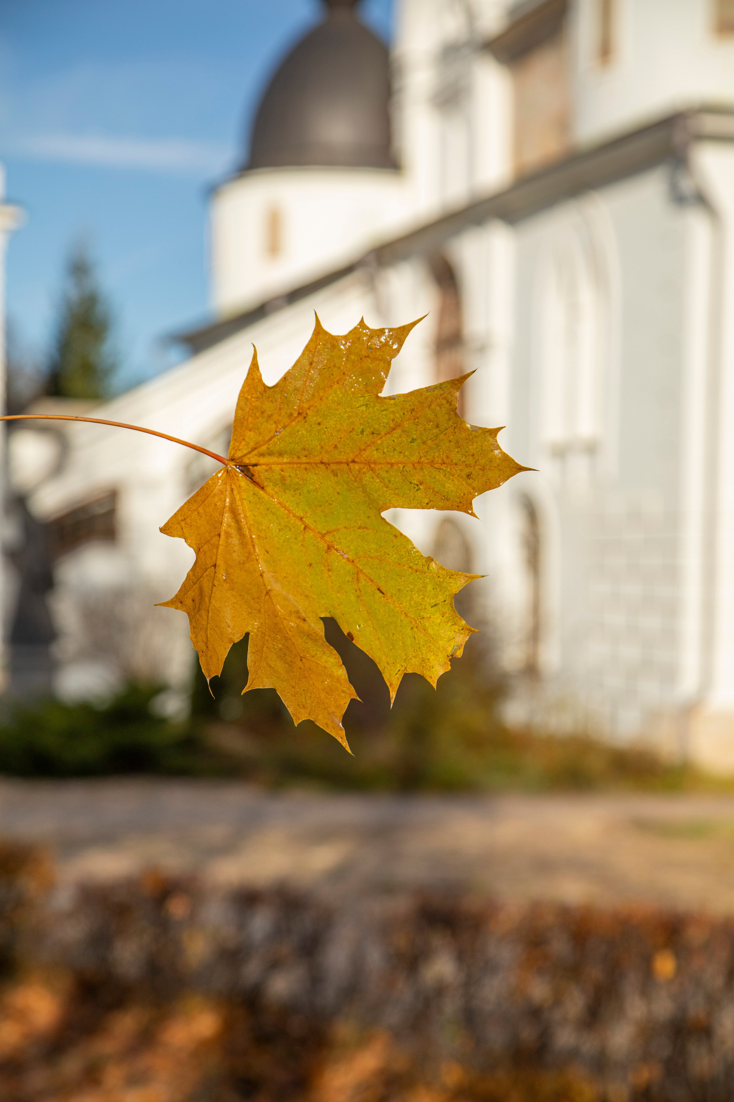 Воскресенье в г. Дмитров. Фотограф Сергей Ловкий
