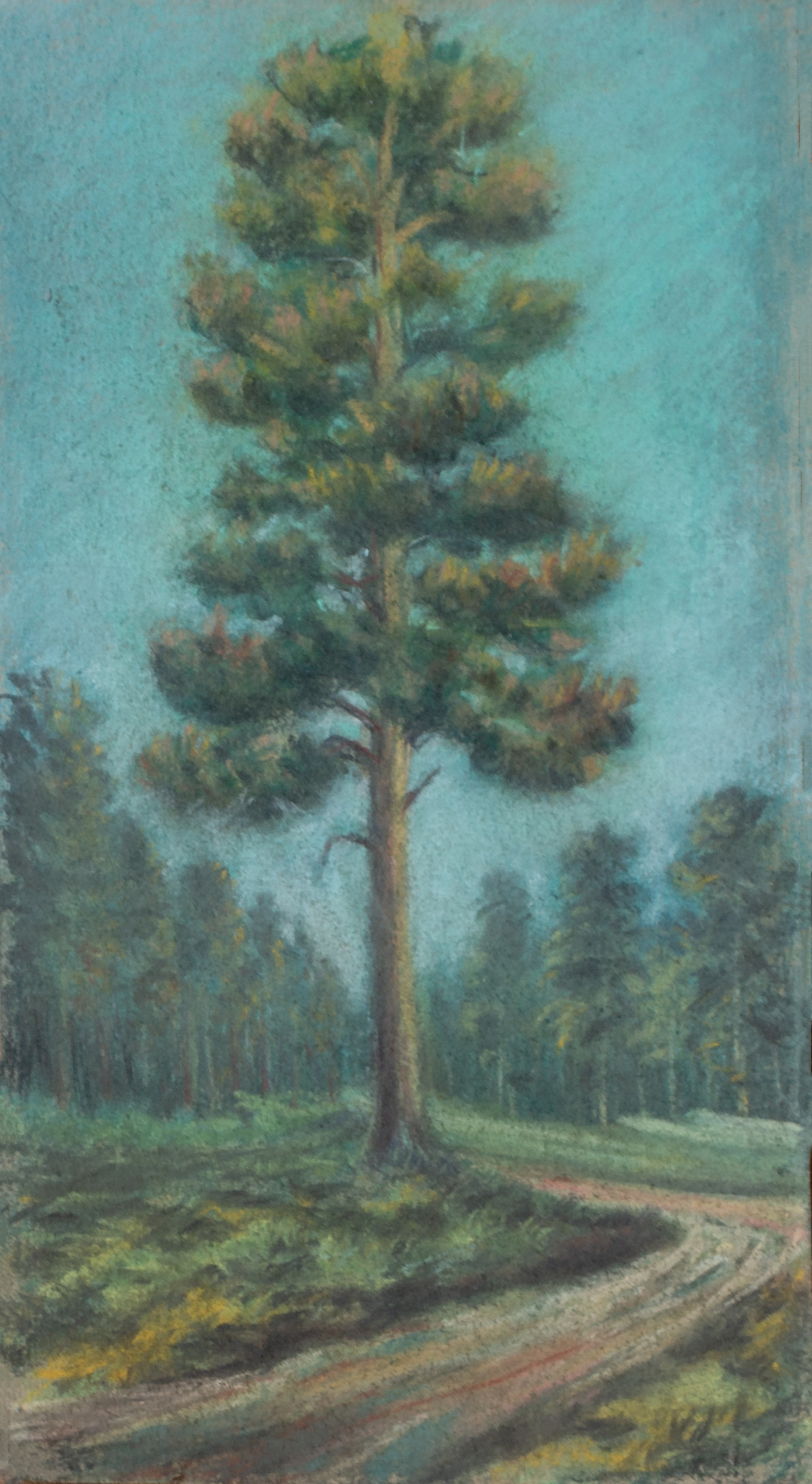 Б.Биказаков Картины. Фотограф для хороших людей в Юрге, Томске, Кемерово, Республике Алтай