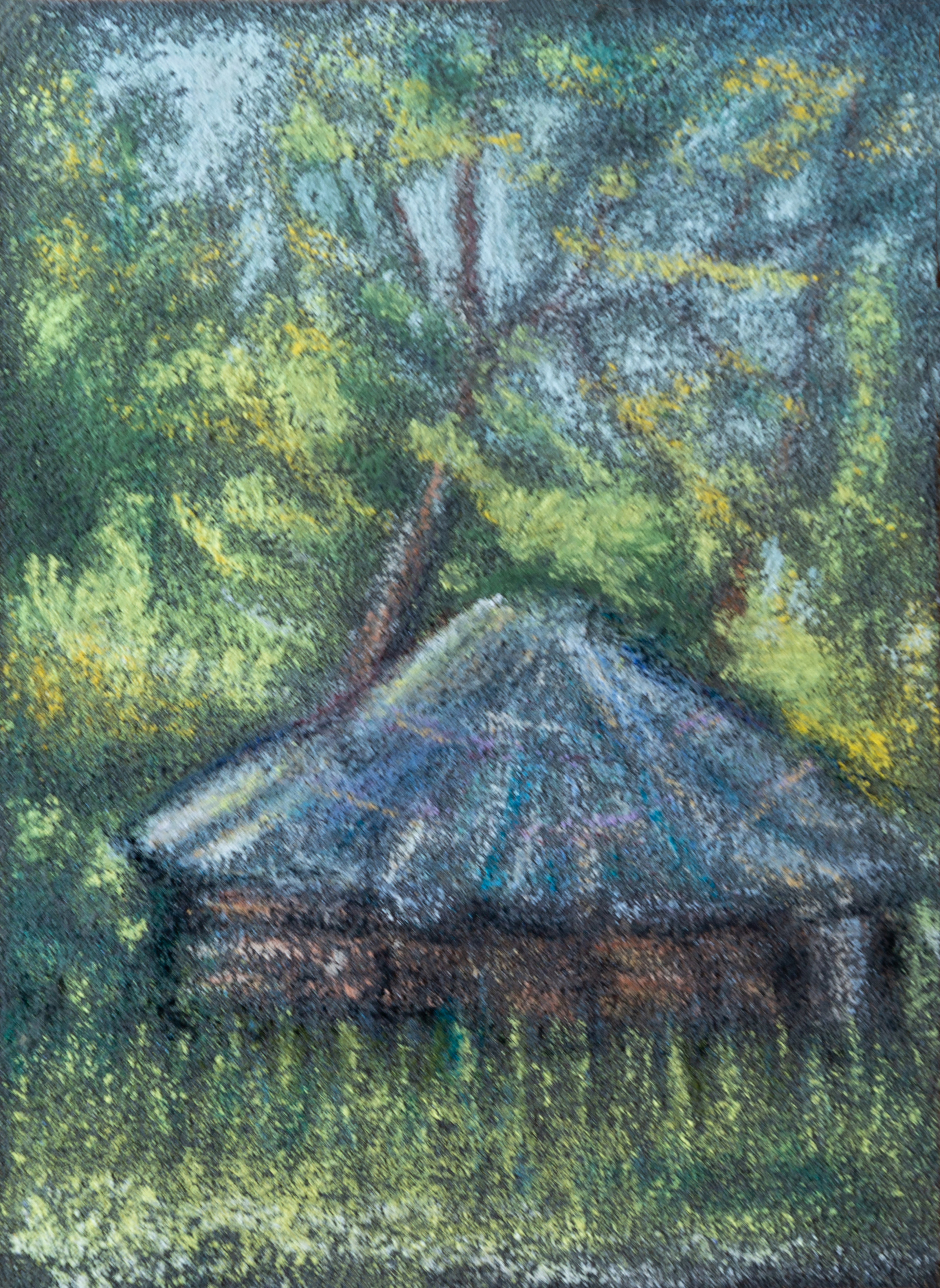 Б.Биказаков Картины. Фотограф для хороших людей в Юрге, Томске, Кемерово, Республике Алтай