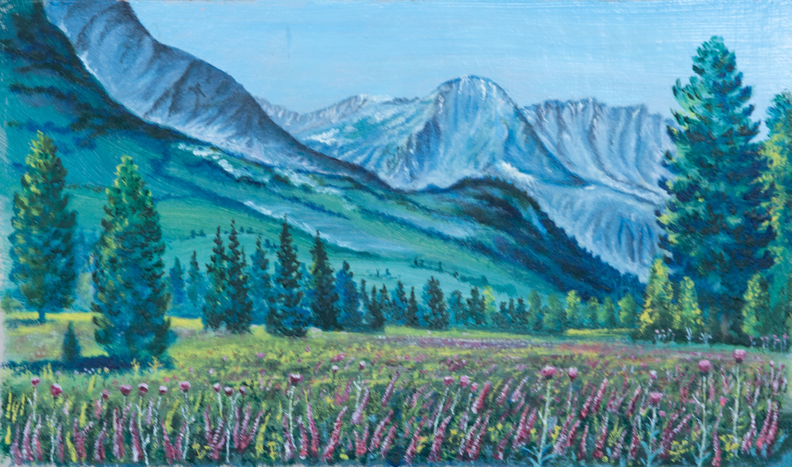 Б.Биказаков Картины. Фотограф для хороших людей в Юрге, Томске, Кемерово, Республике Алтай