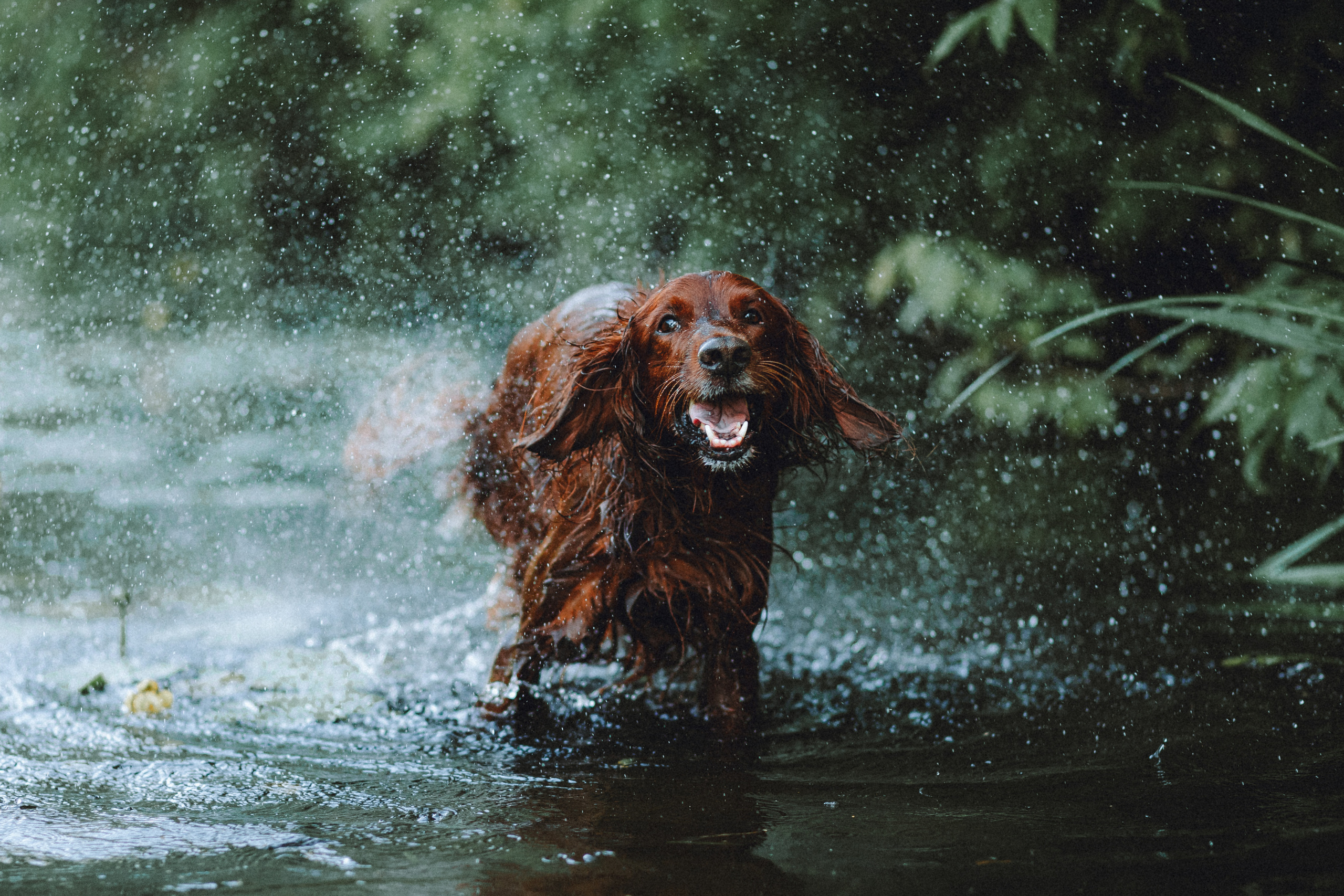 Маша и Джерри
