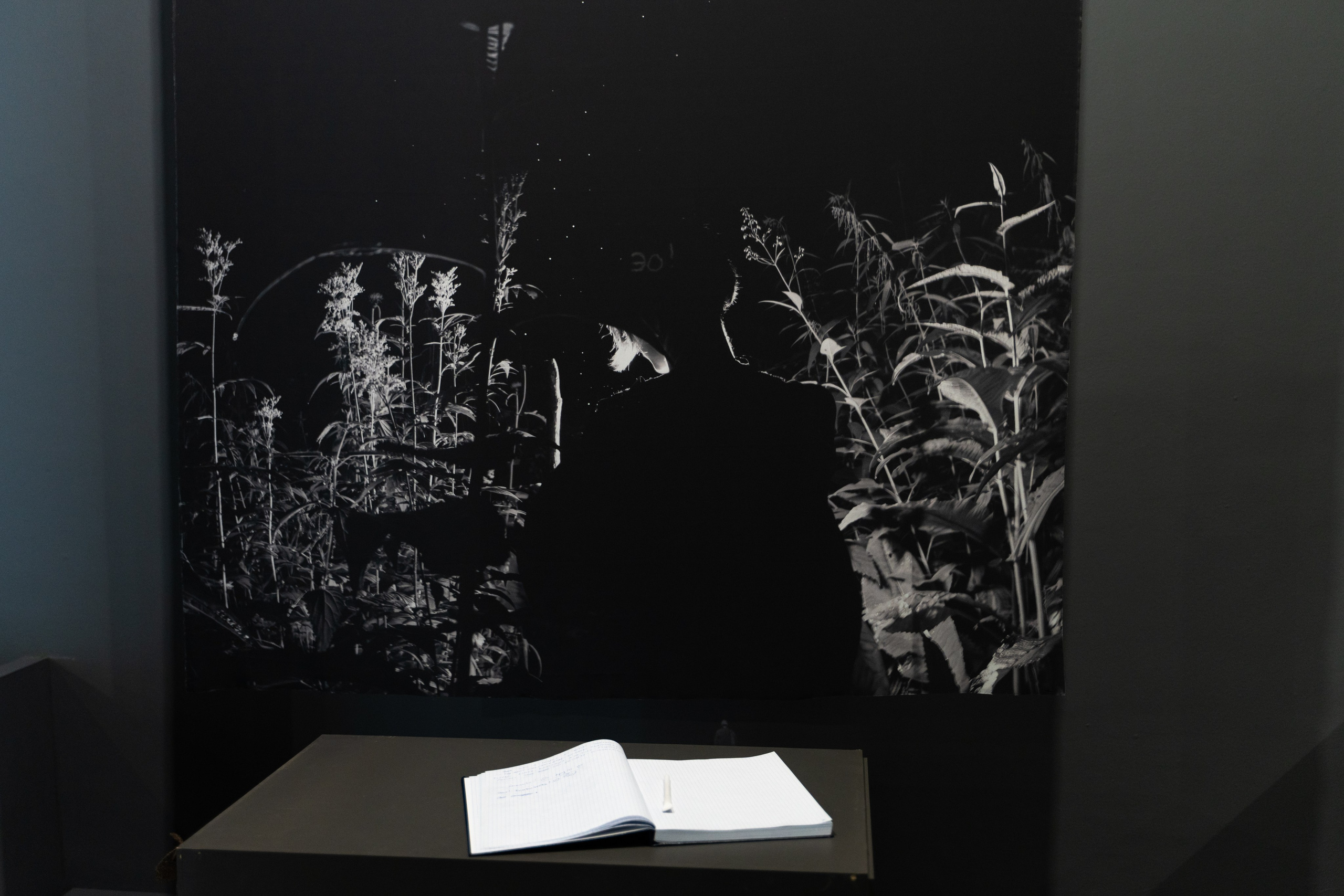 Пристанище. Элина Гусарова