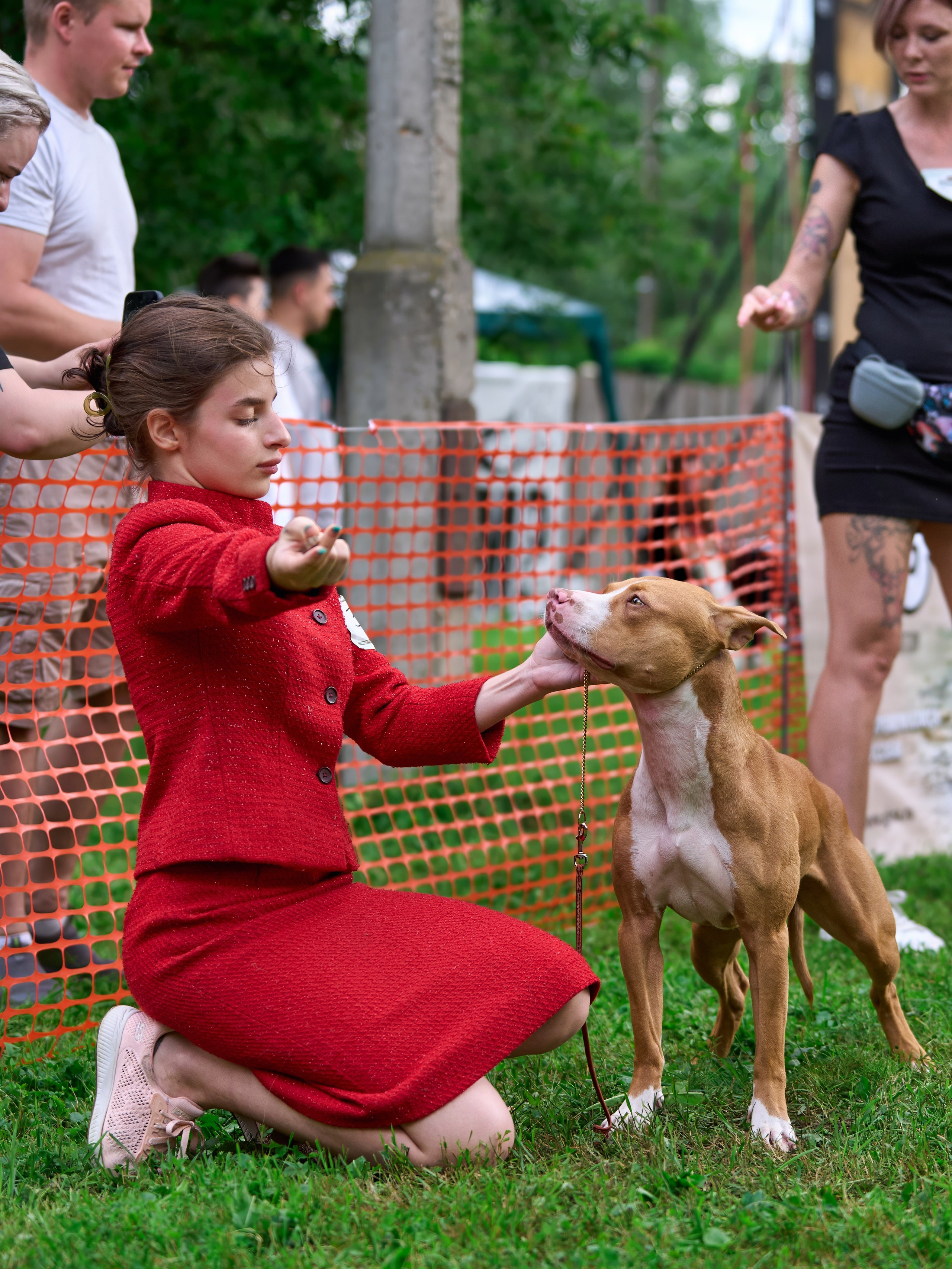 Золотой Кубок — 2024. Фотограф-анималист Михаил Манухин