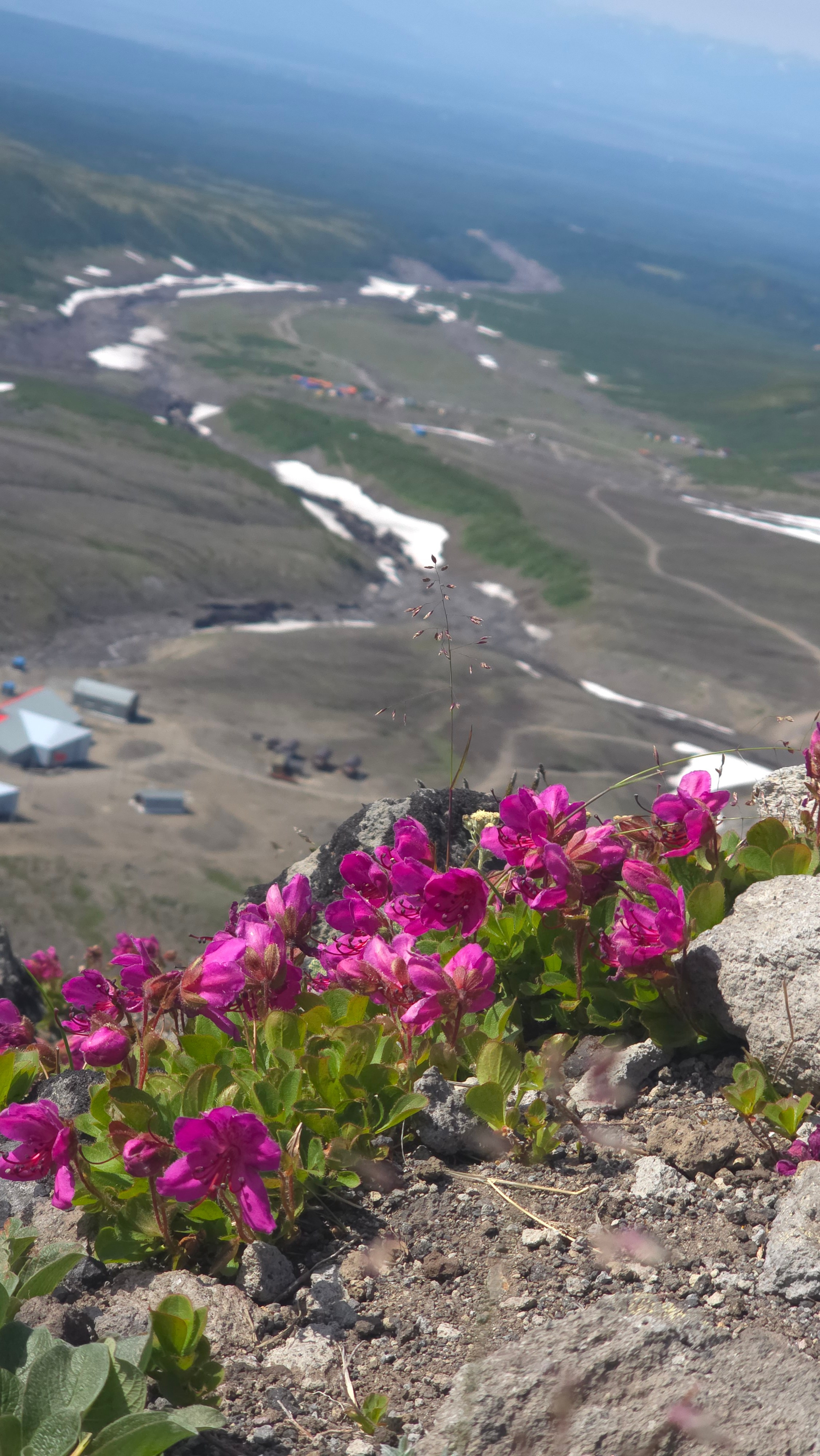 Авачинский перевал и восхождение на экструзию Верблюд. Экскурсионные туры по Камчатке