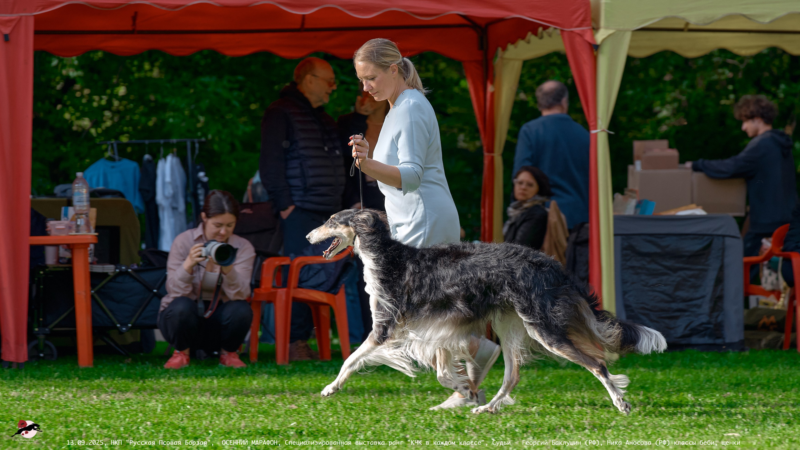 ОСЕННИЙ МАРАФОН | Специализированная выставка породы Русская Псовая Борзая ранг "КЧК в каждом классе"