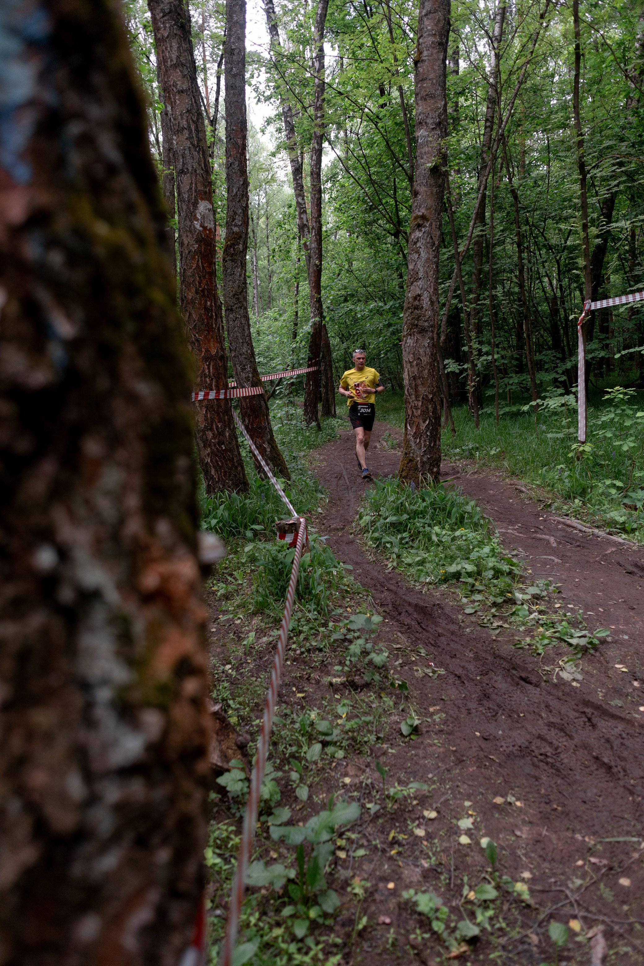 CityTrail Ромашково