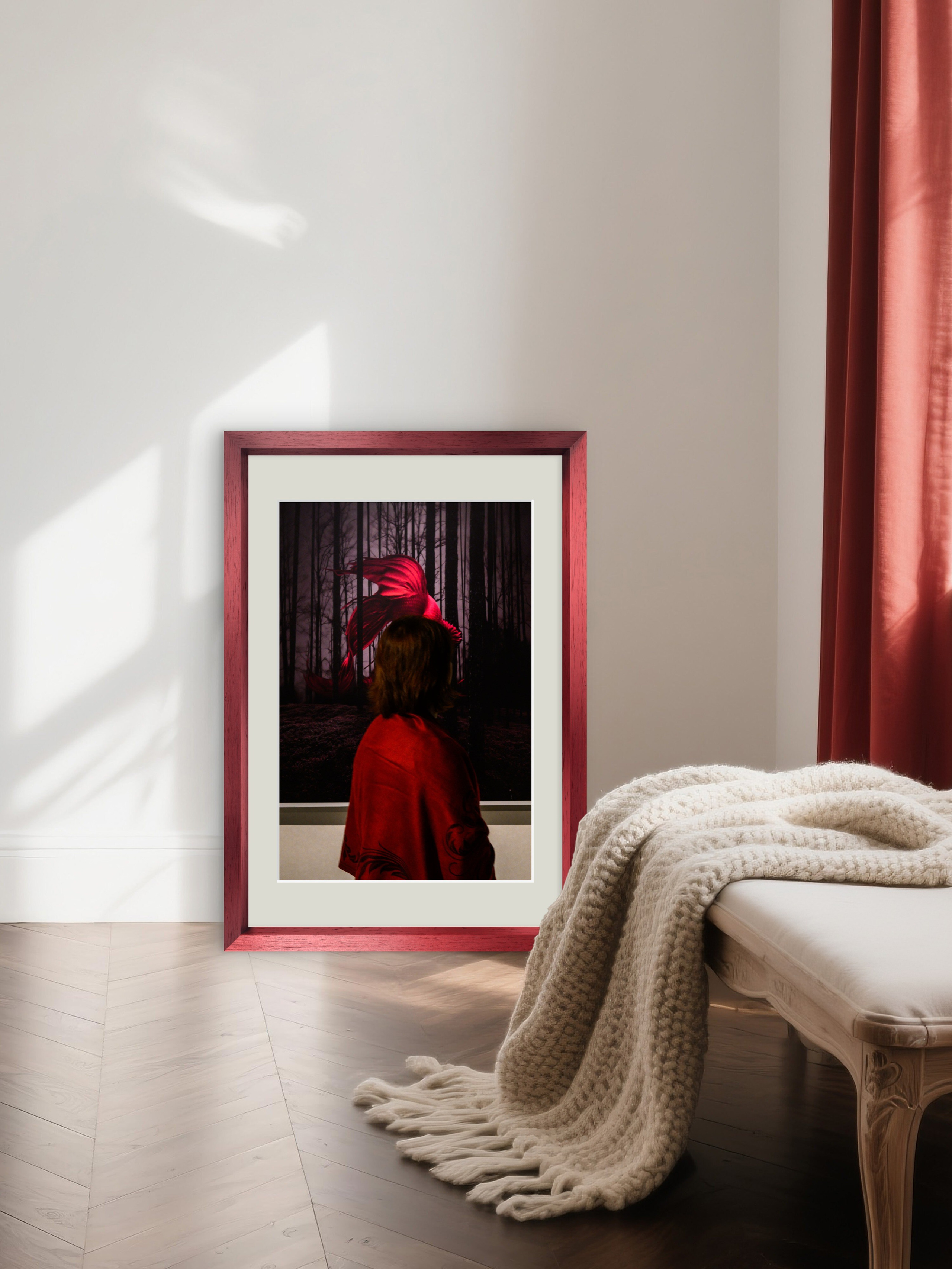 Order. Dimitri Bakhtadze photographer