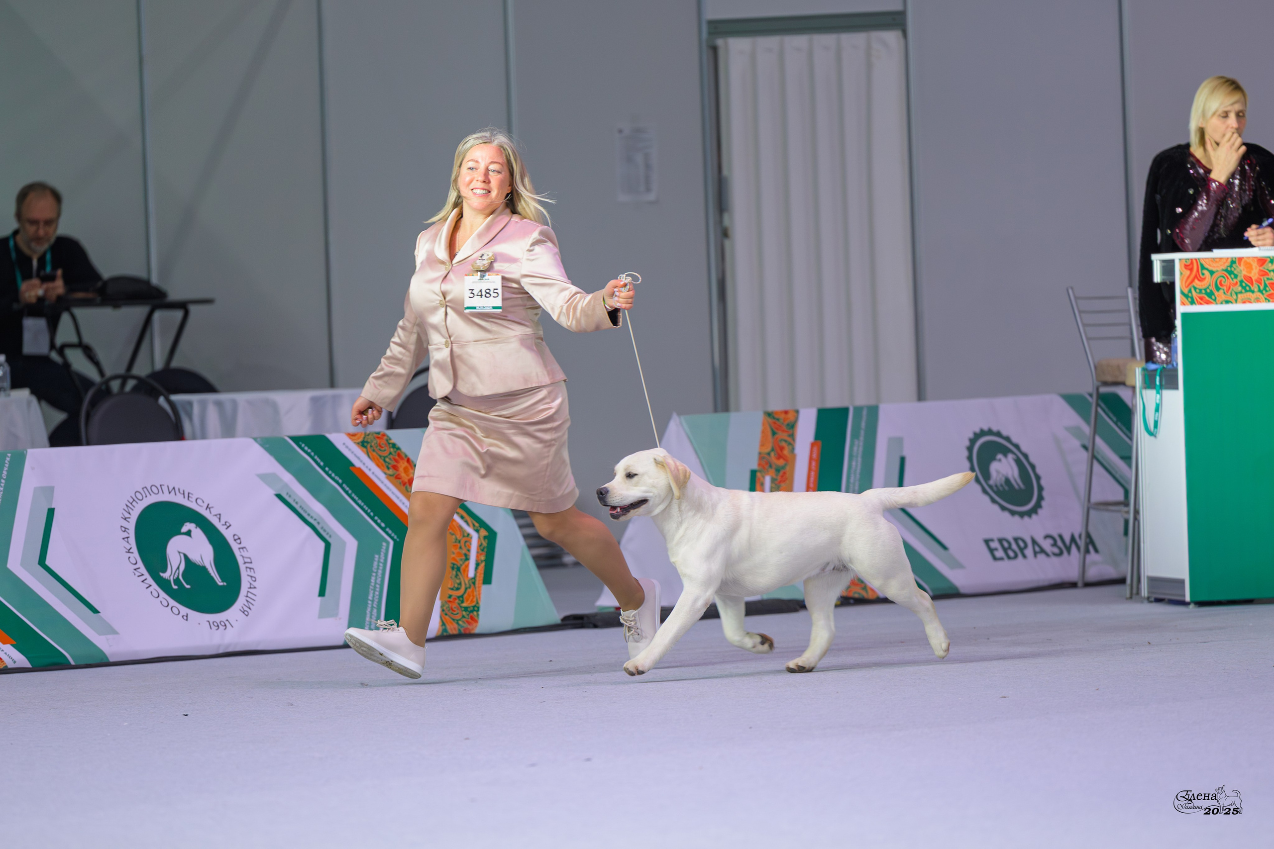 15-16.11.2025 ЕВРАЗИЯ г. Москва. Фотограф анималист Елена Галдина г. Красноярск