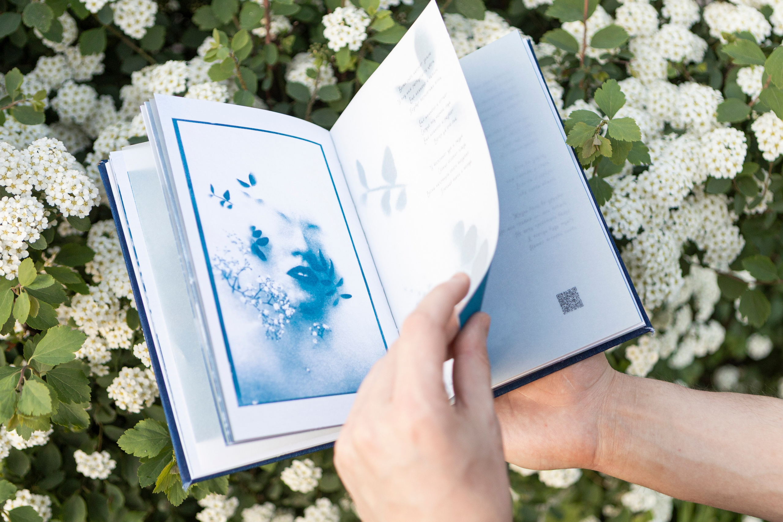 Фотозин «Светлячки в темноте»