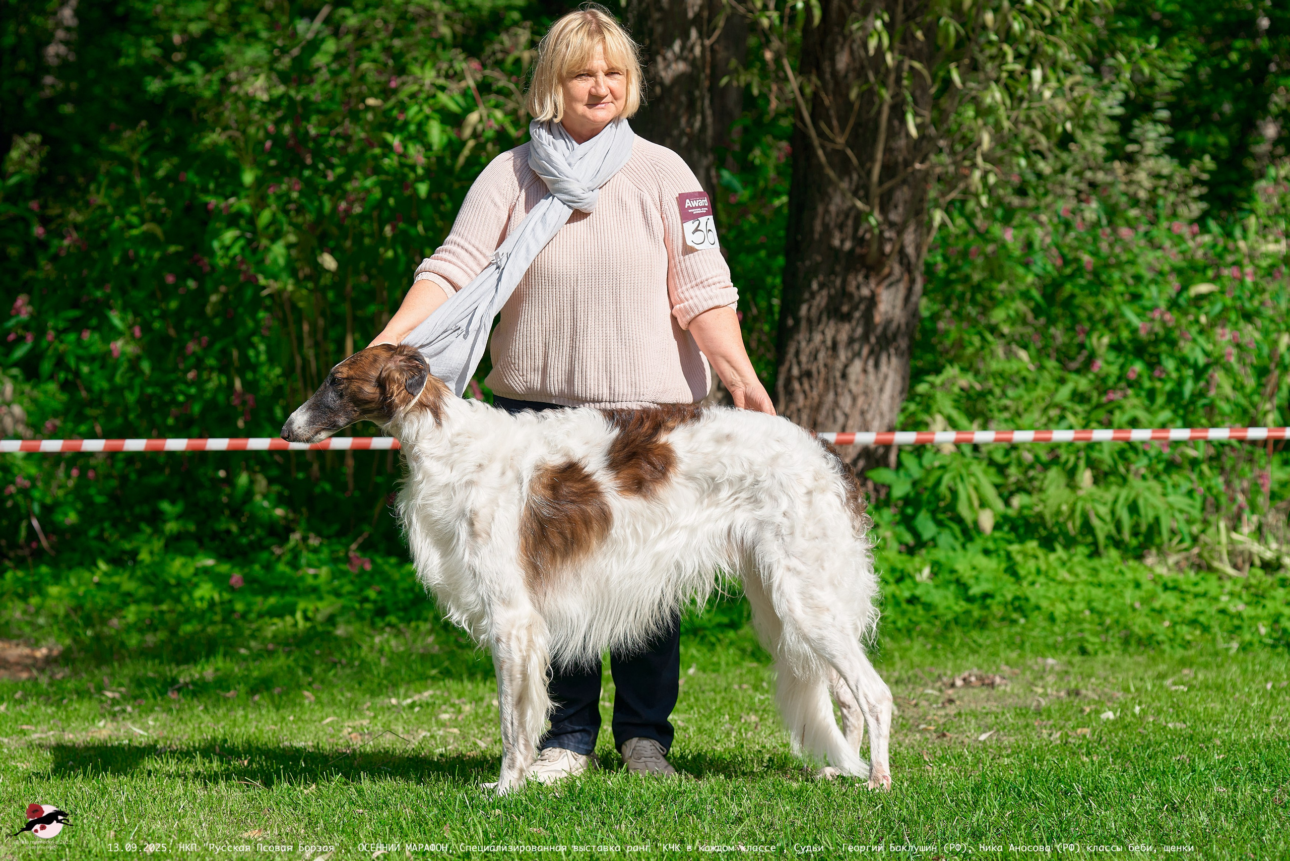 ОСЕННИЙ МАРАФОН | Специализированная выставка породы Русская Псовая Борзая ранг "КЧК в каждом классе"