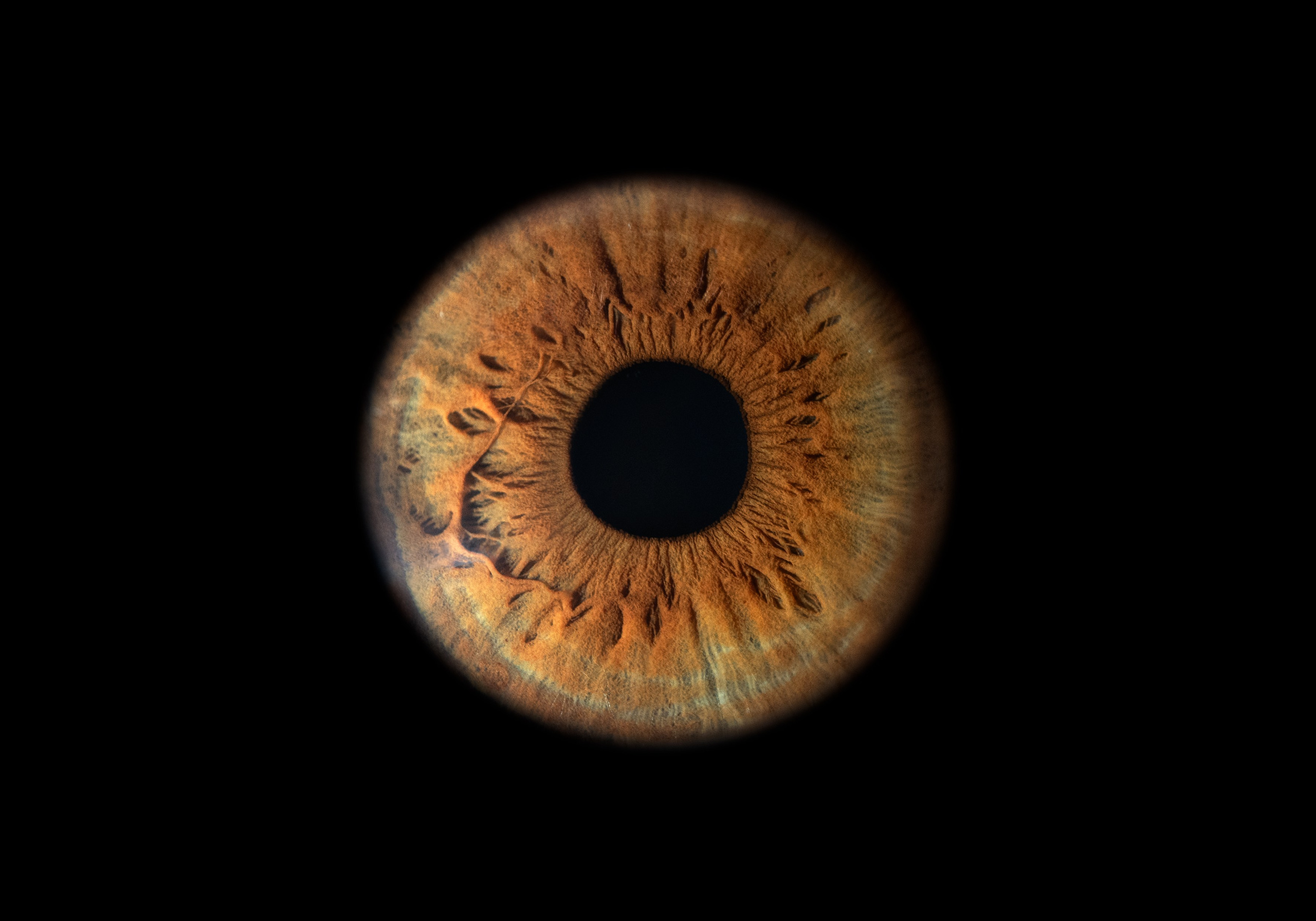 Фото радужки глаза в высоком разрешении и детализации. Крым, Севастополь. Ojo Art