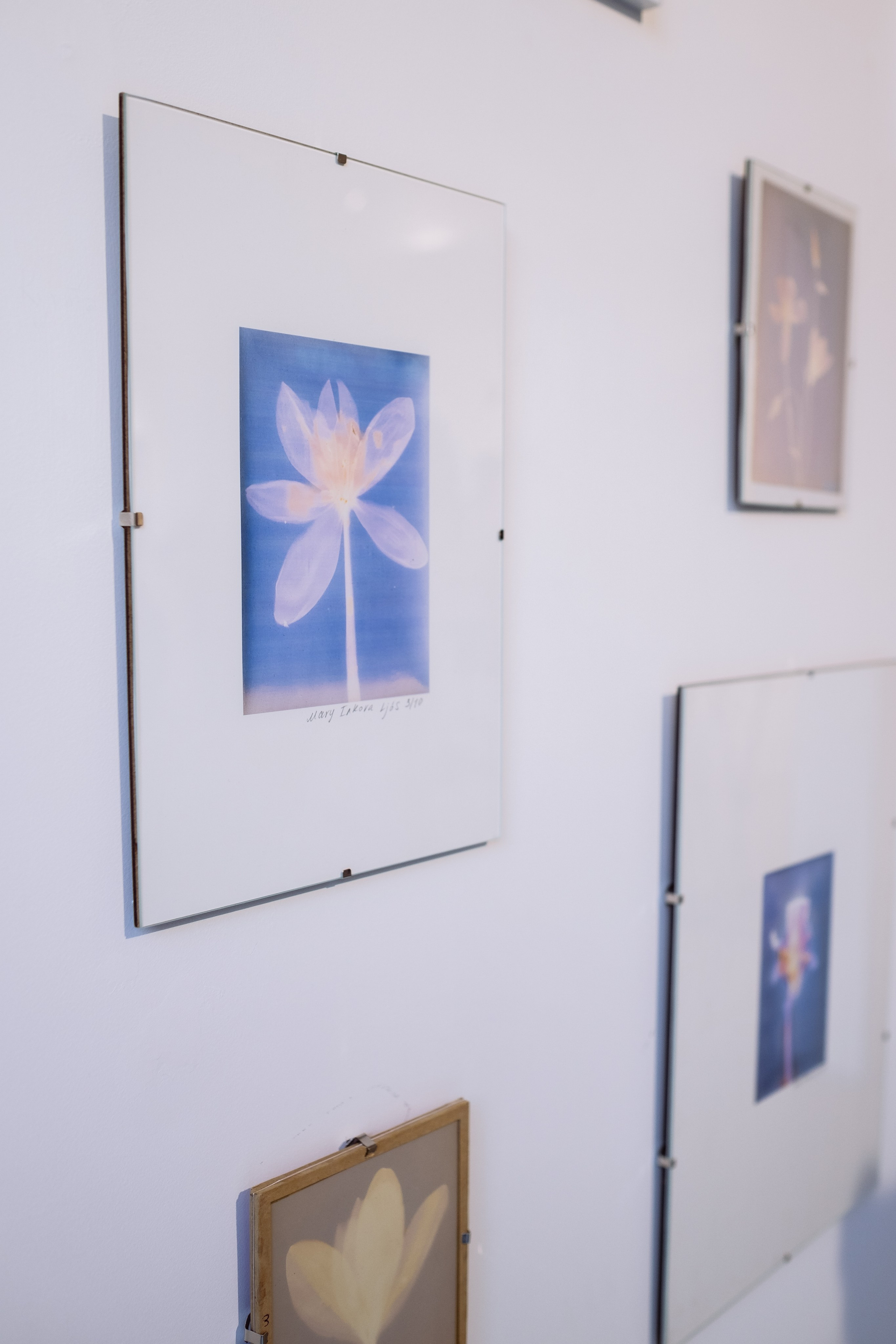 КНИГА ХУДОЖНИКА PINK WORD RED FLAG. Бюро Индульгенции Серафима Бучинская продюсер дизайнер художница СПб