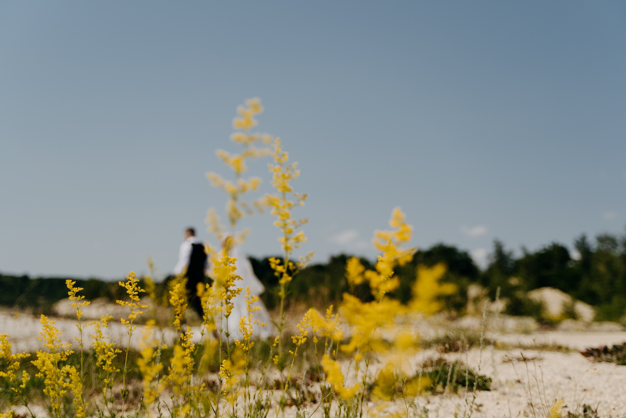 Тот самый день Сергея и Ангелины. Фотограф в Мурманске, Североморске и Санкт-Петербурге Валерия Козлова