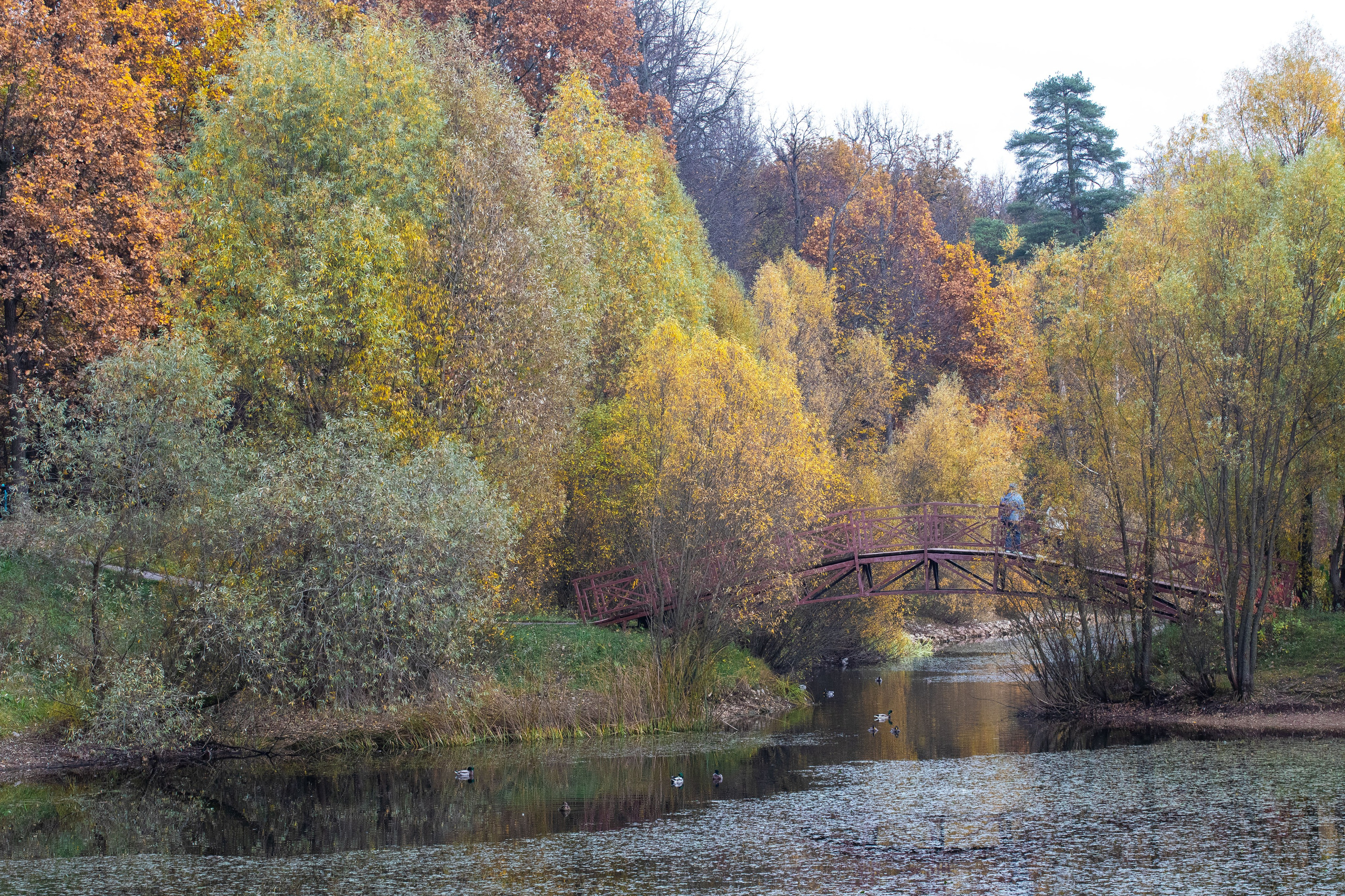 Осень. Свадьбы, портретная, предметная съемка. Фотограф Александр К