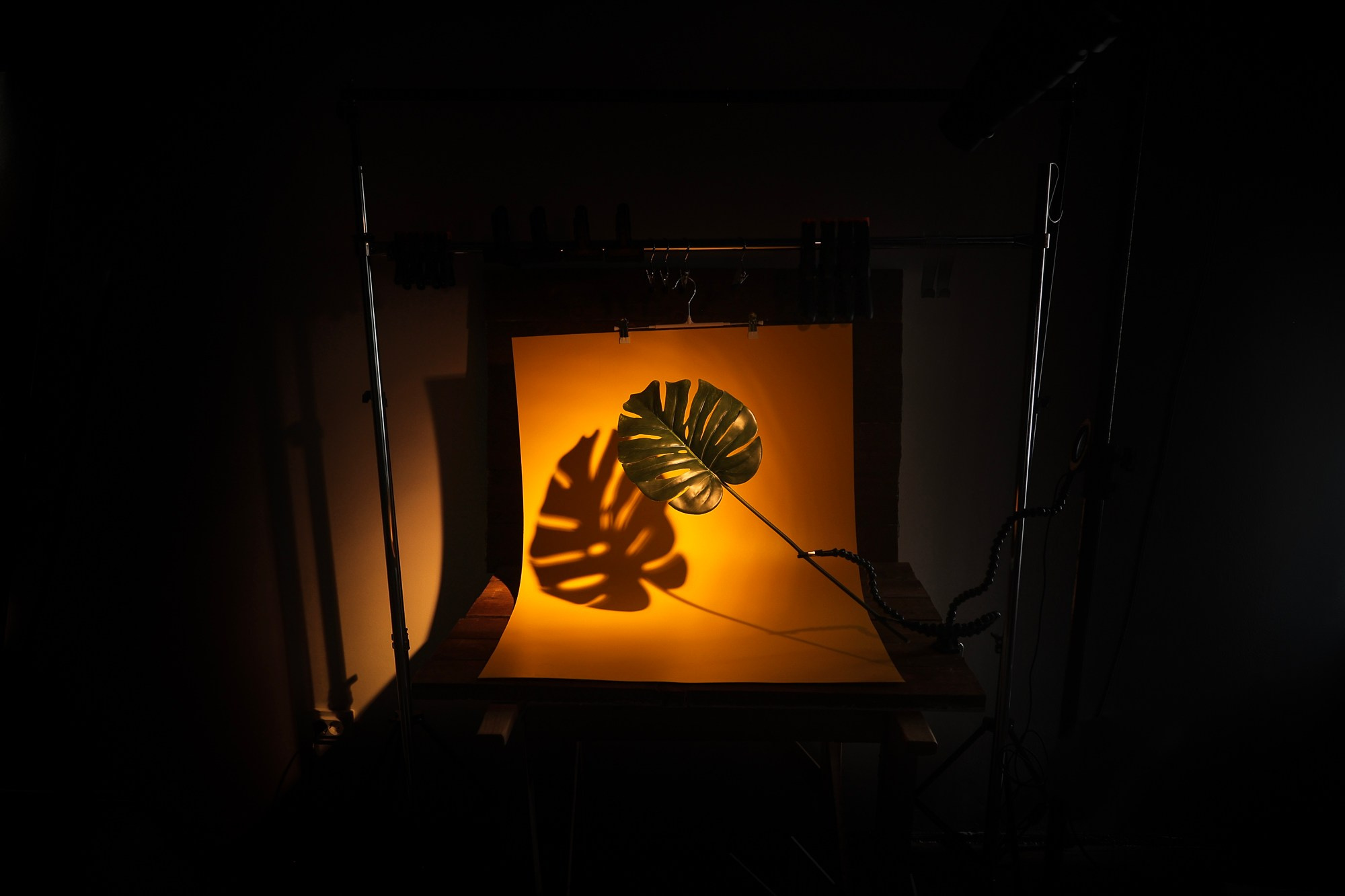 Аренда для предметной съемки