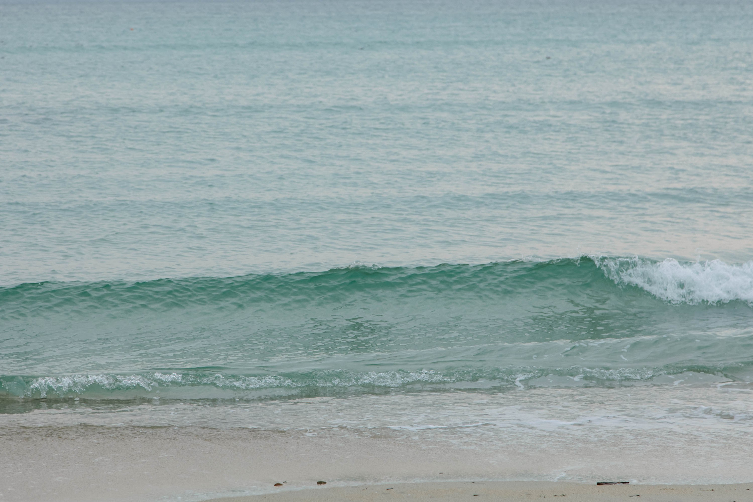 Пока не застроили. Evgeniya Kokurina