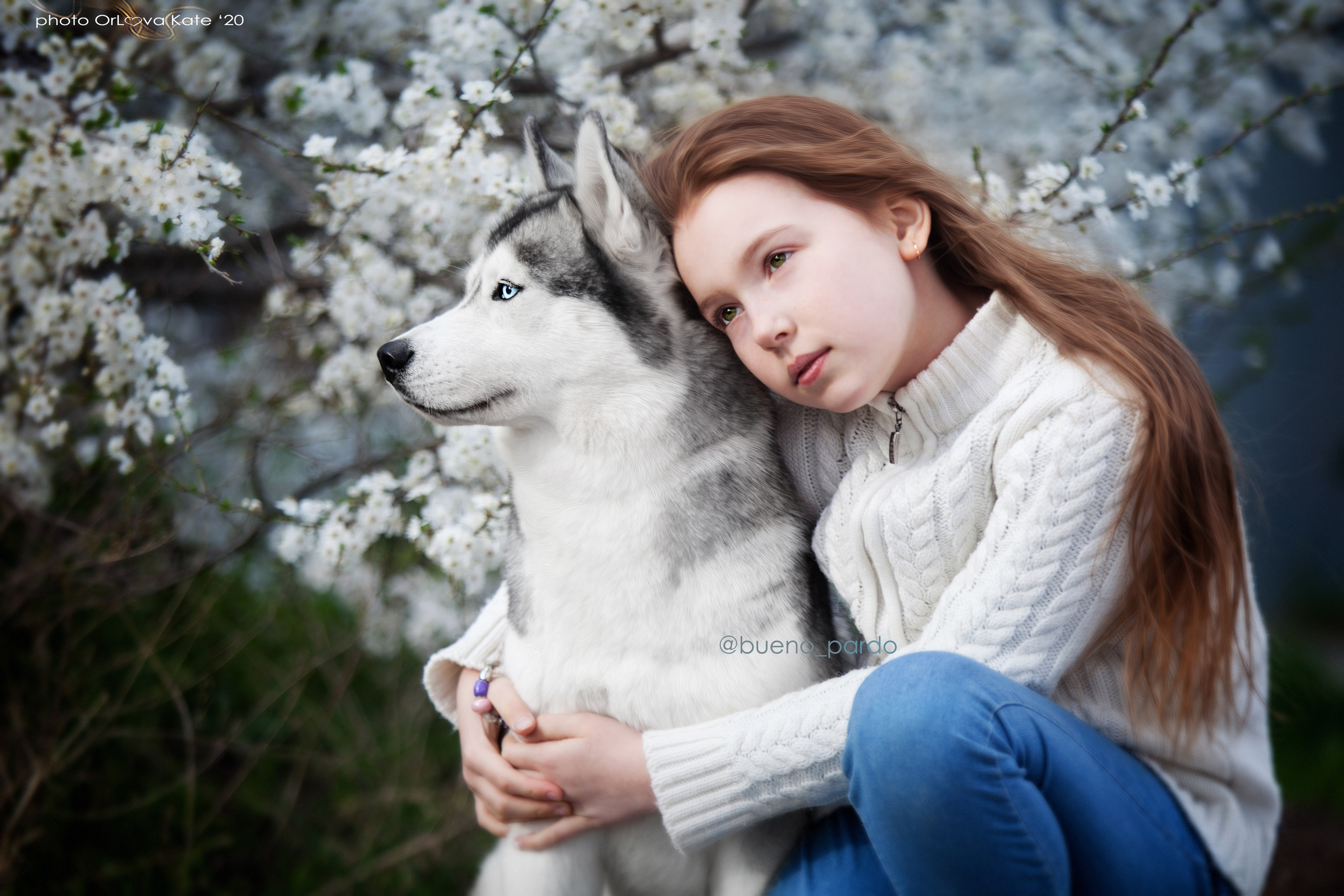 Собаки питомника Bueno Pardo. Питомник собак Акита, Хаски, Корги