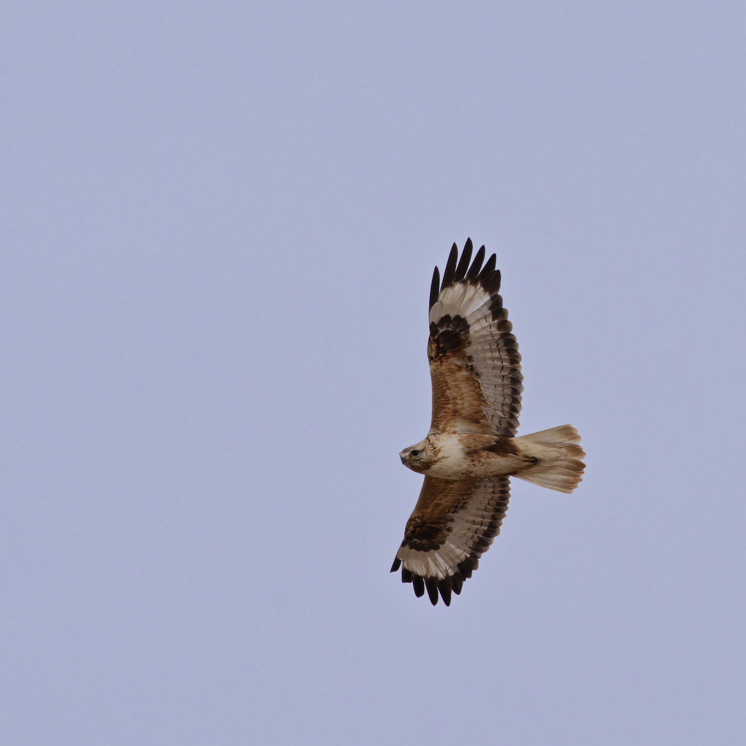 Экспедиция в Монголию (котловина больших озер). Семоха Валерий. Фотограф