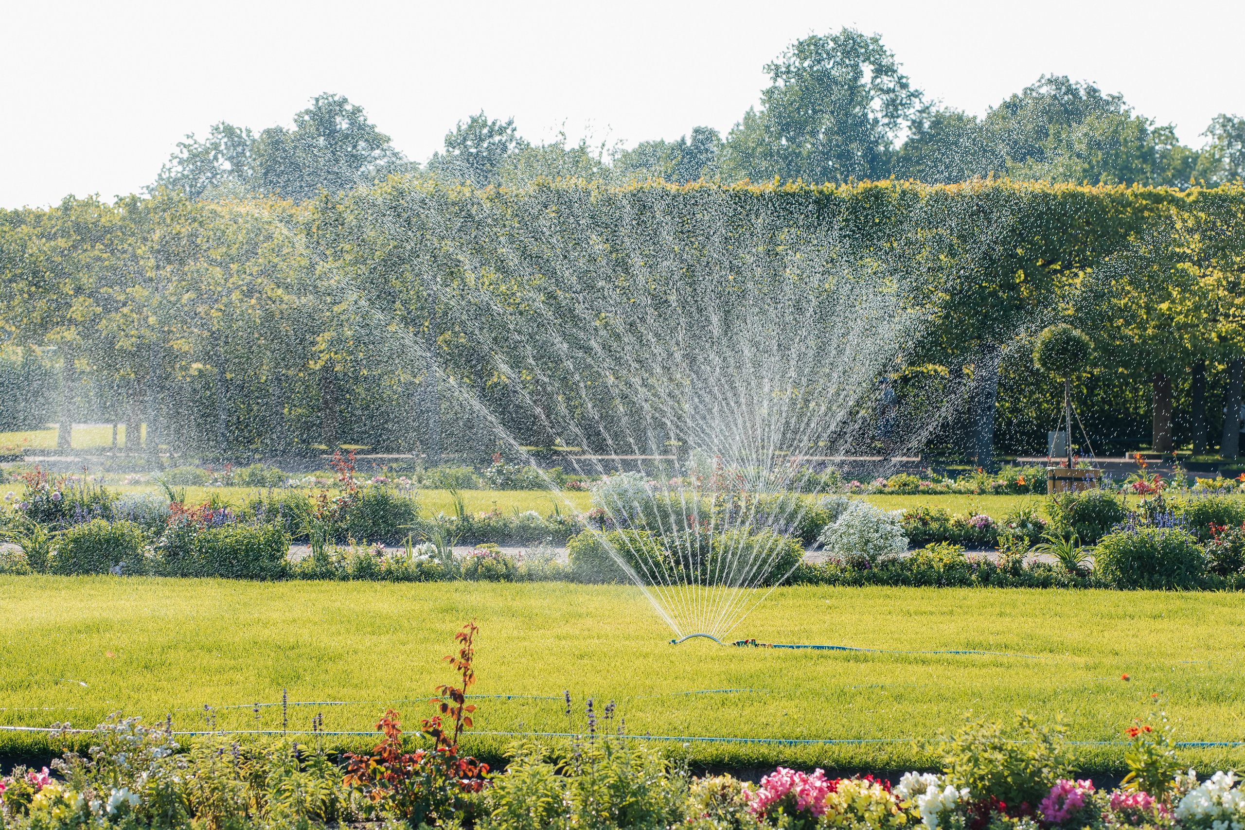 ФОТОСЕССИЯ В ПЕТЕРГОФЕ. ГДЕ СНИМАТЬ В ПЕТЕРГОФЕ