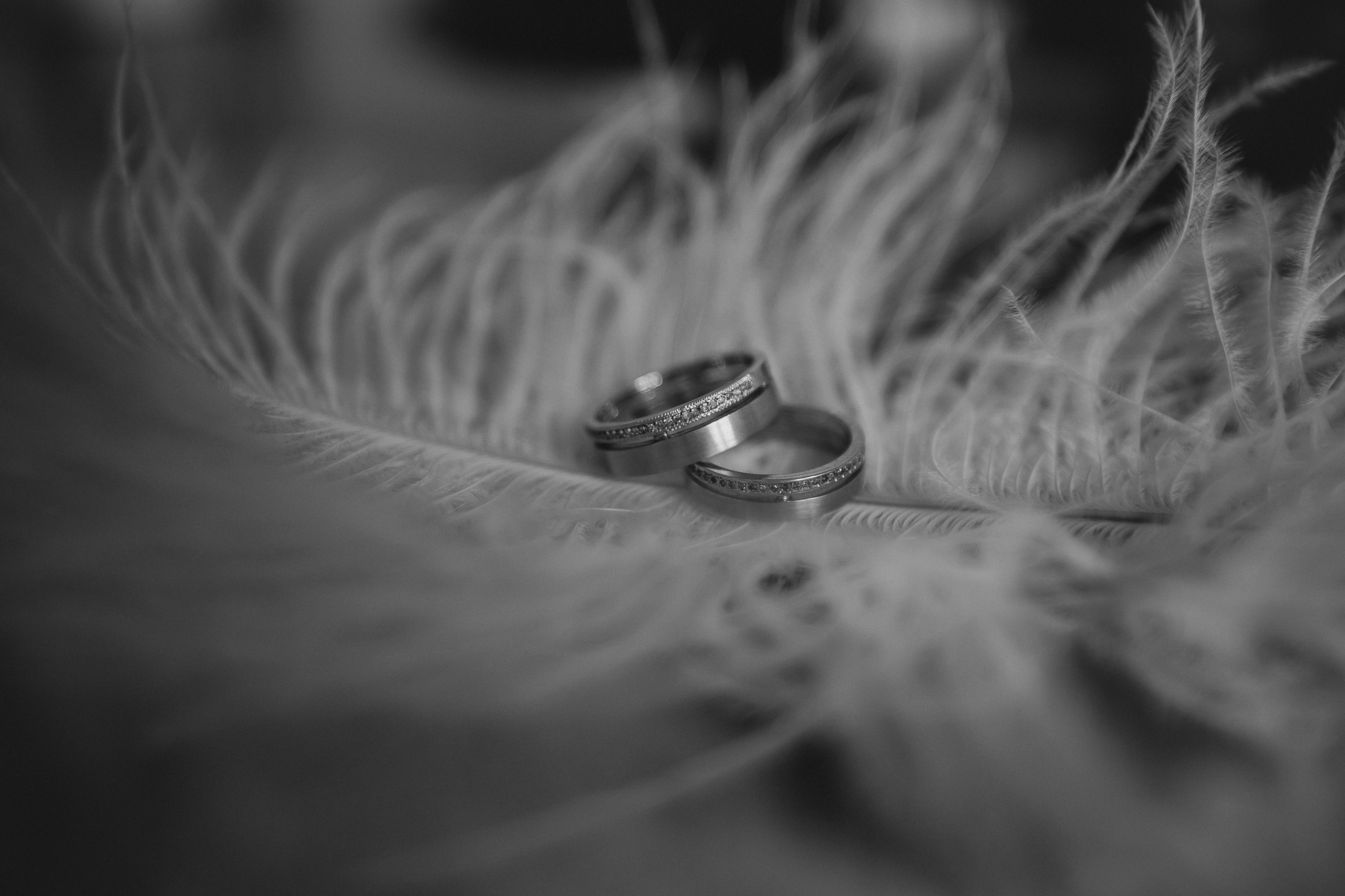 Свадебный фотограф в Краснодаре Татьяна Гура