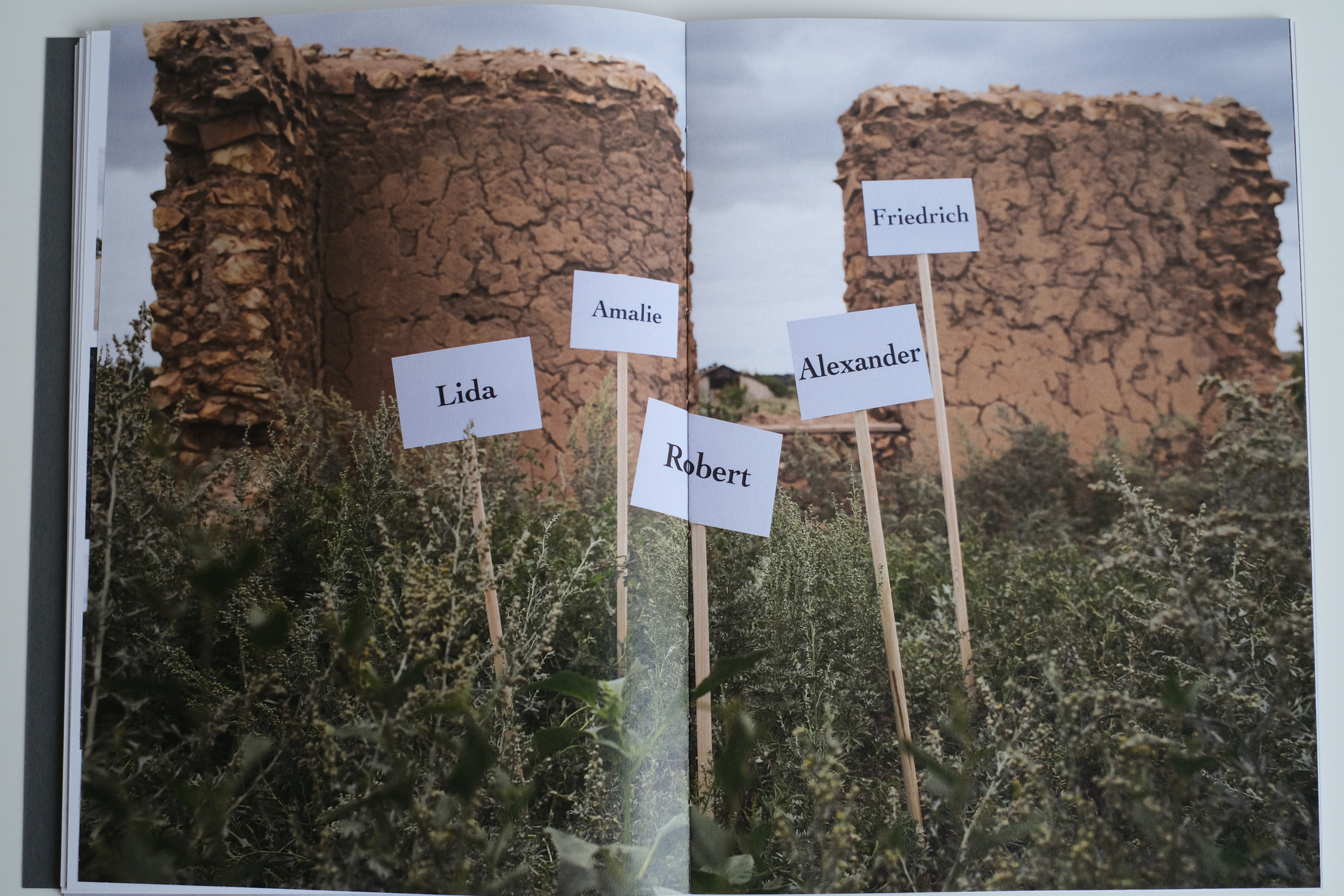 Книга Sasha Bauer. Фотосессии в г. Пушкин Саша Бауэр | Фотопроекты