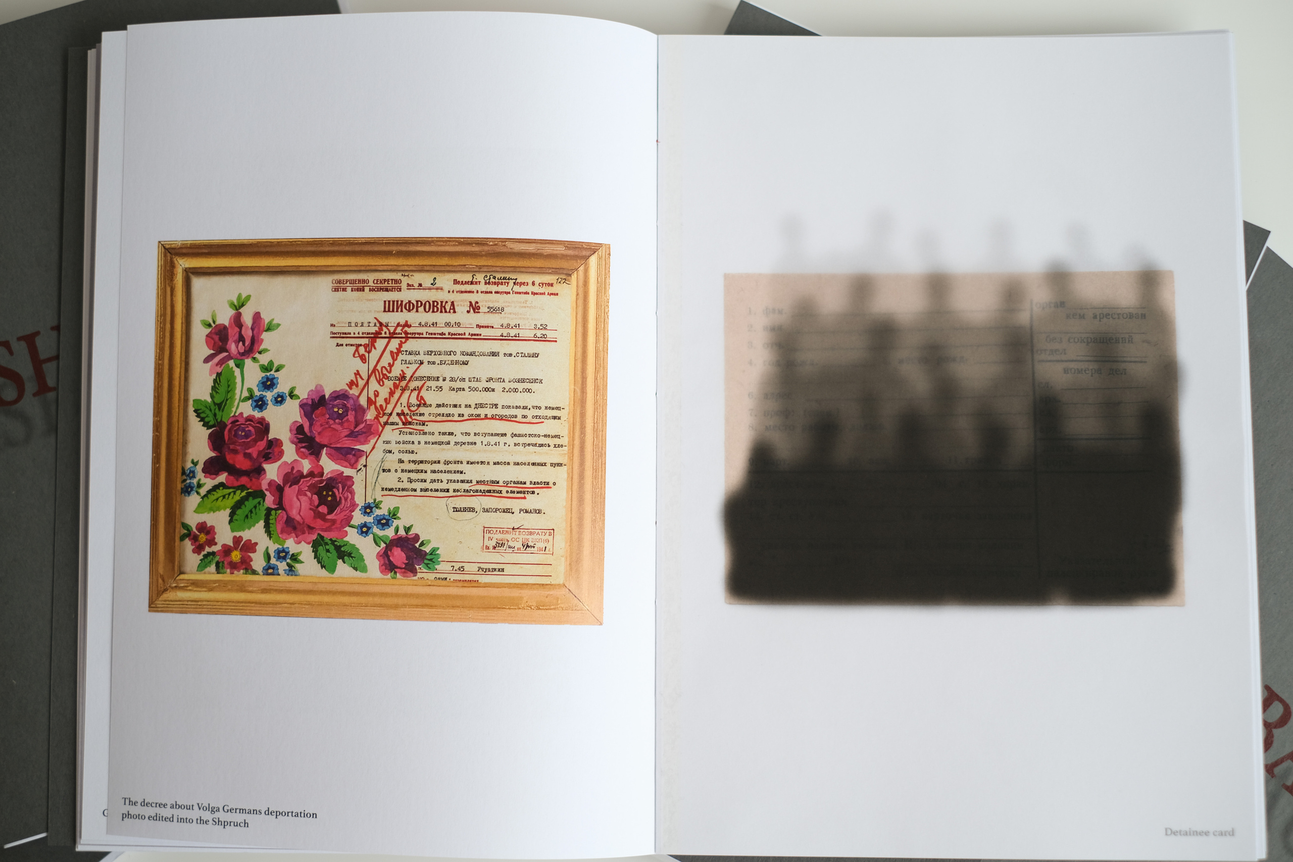 Книга Sasha Bauer. Фотосессии в г. Пушкин Саша Бауэр | Фотопроекты