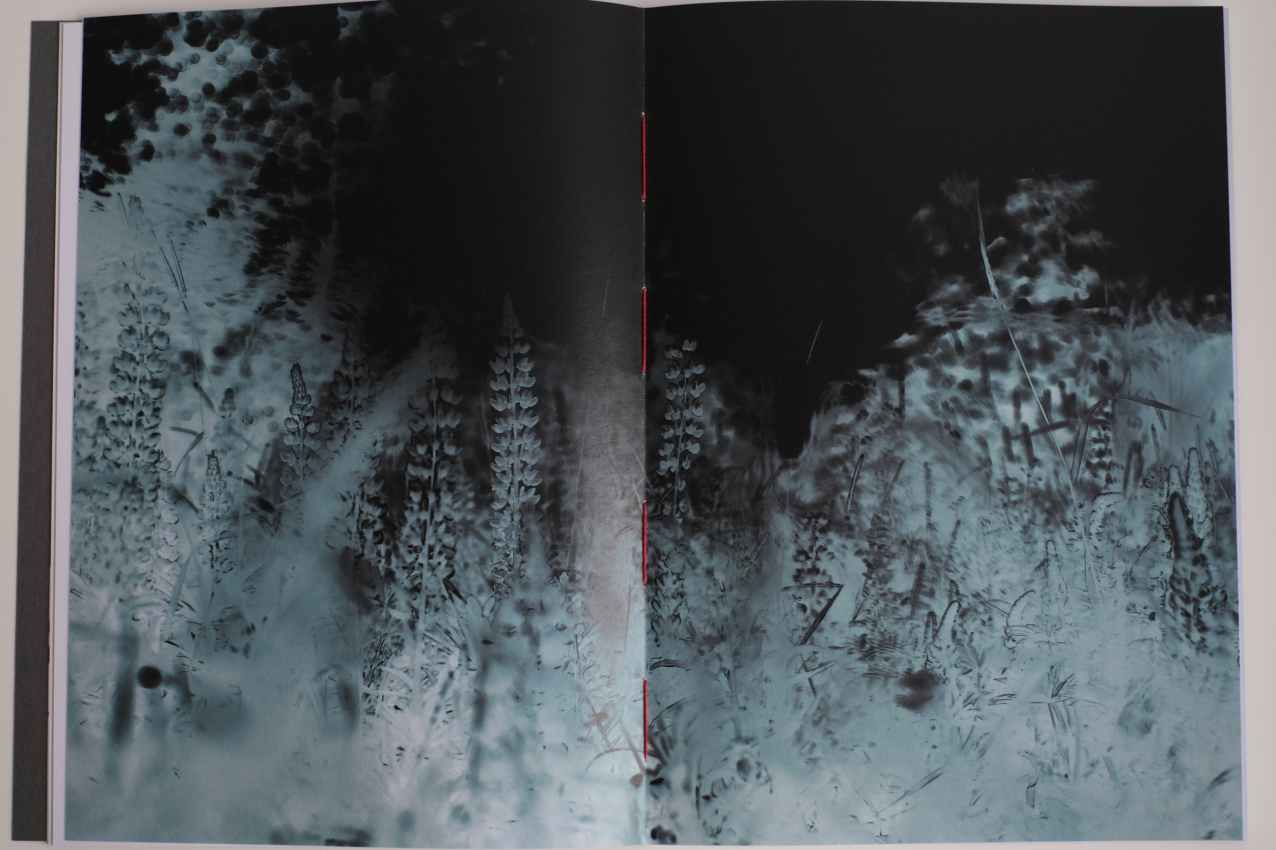 Книга Sasha Bauer. Фотосессии в г. Пушкин Саша Бауэр | Фотопроекты