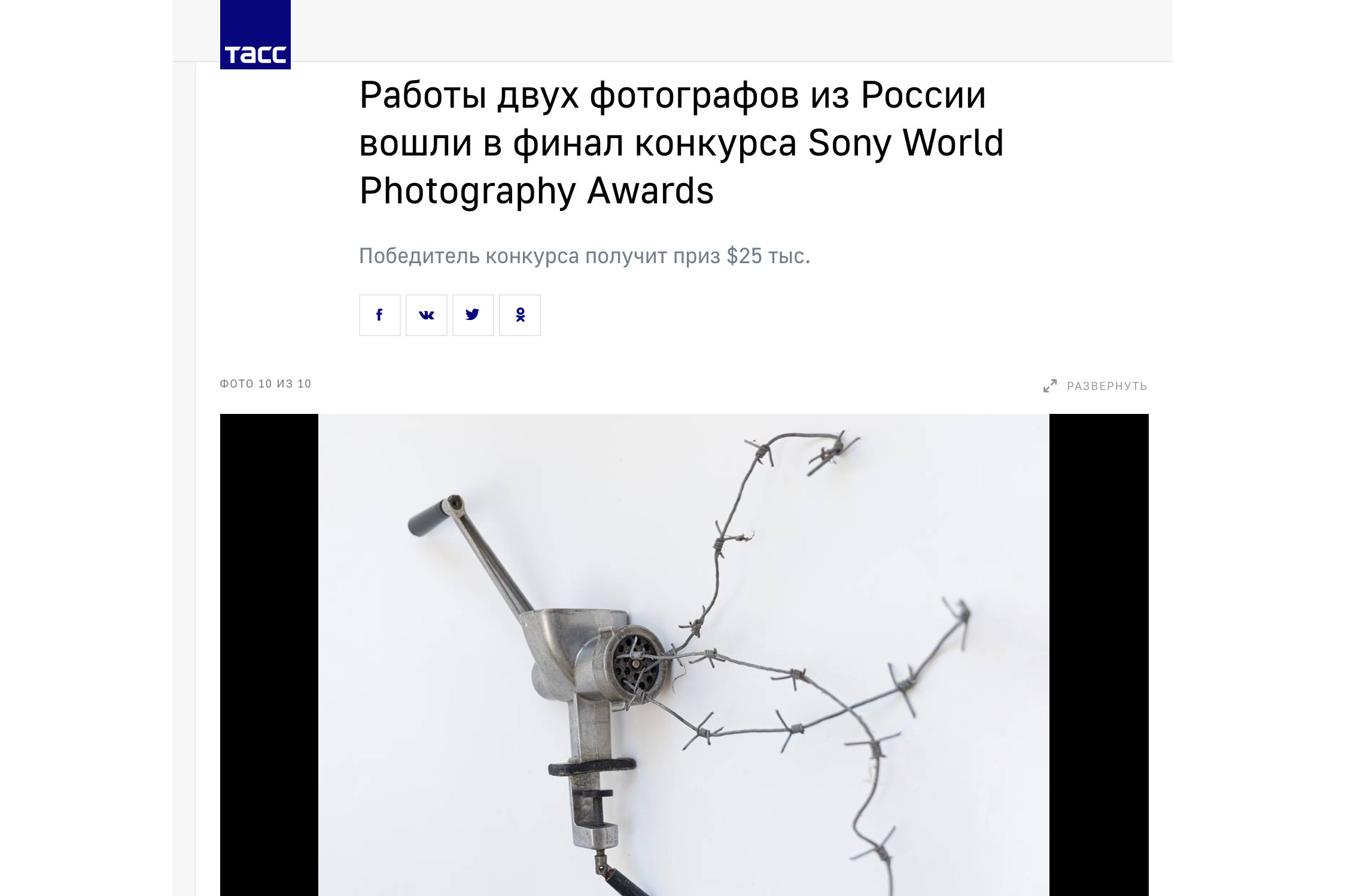 Книга Sasha Bauer. Фотосессии в г. Пушкин Саша Бауэр | Фотопроекты