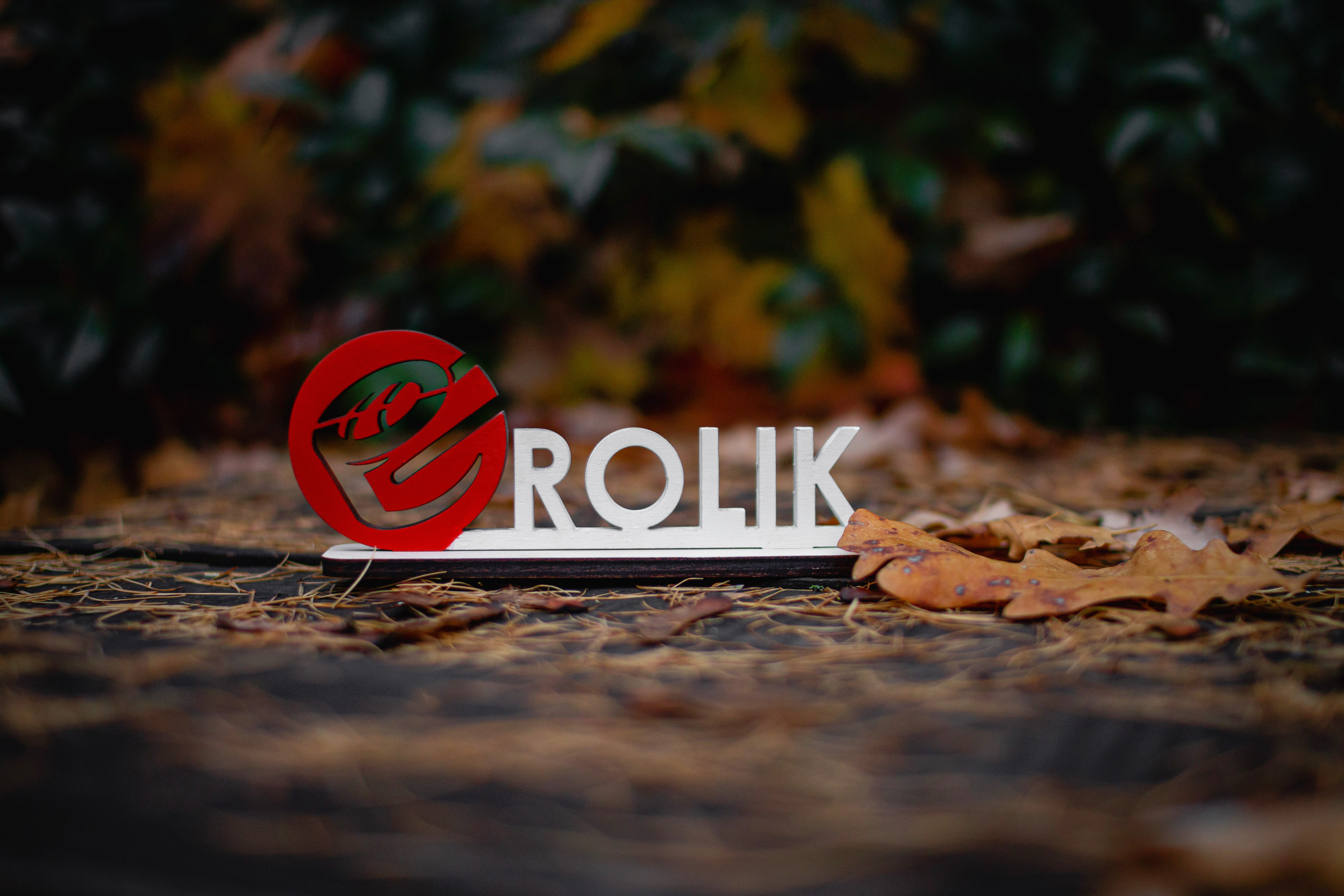 Ролик, осень и камин. ФУД ФОТОГРАФ САРАТОВ, РЕКЛАМНЫЙ ФОТОГРАФ | АЛЕКСАНДР ГАВРИЛЫЧЕВ